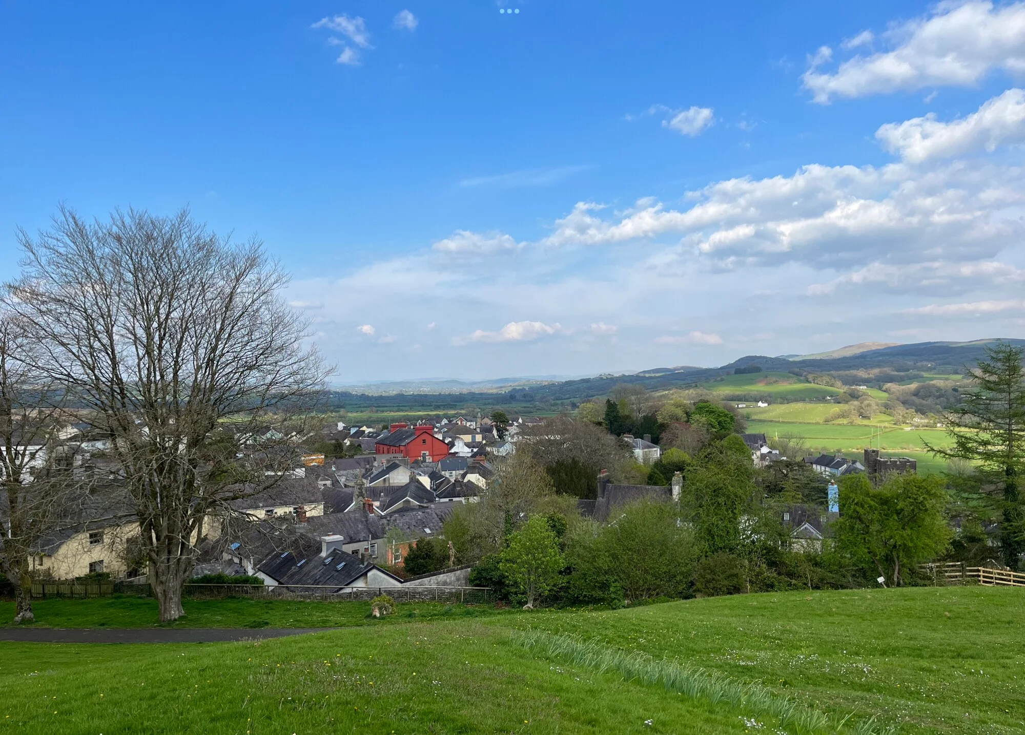 Vets in Llandeilo
