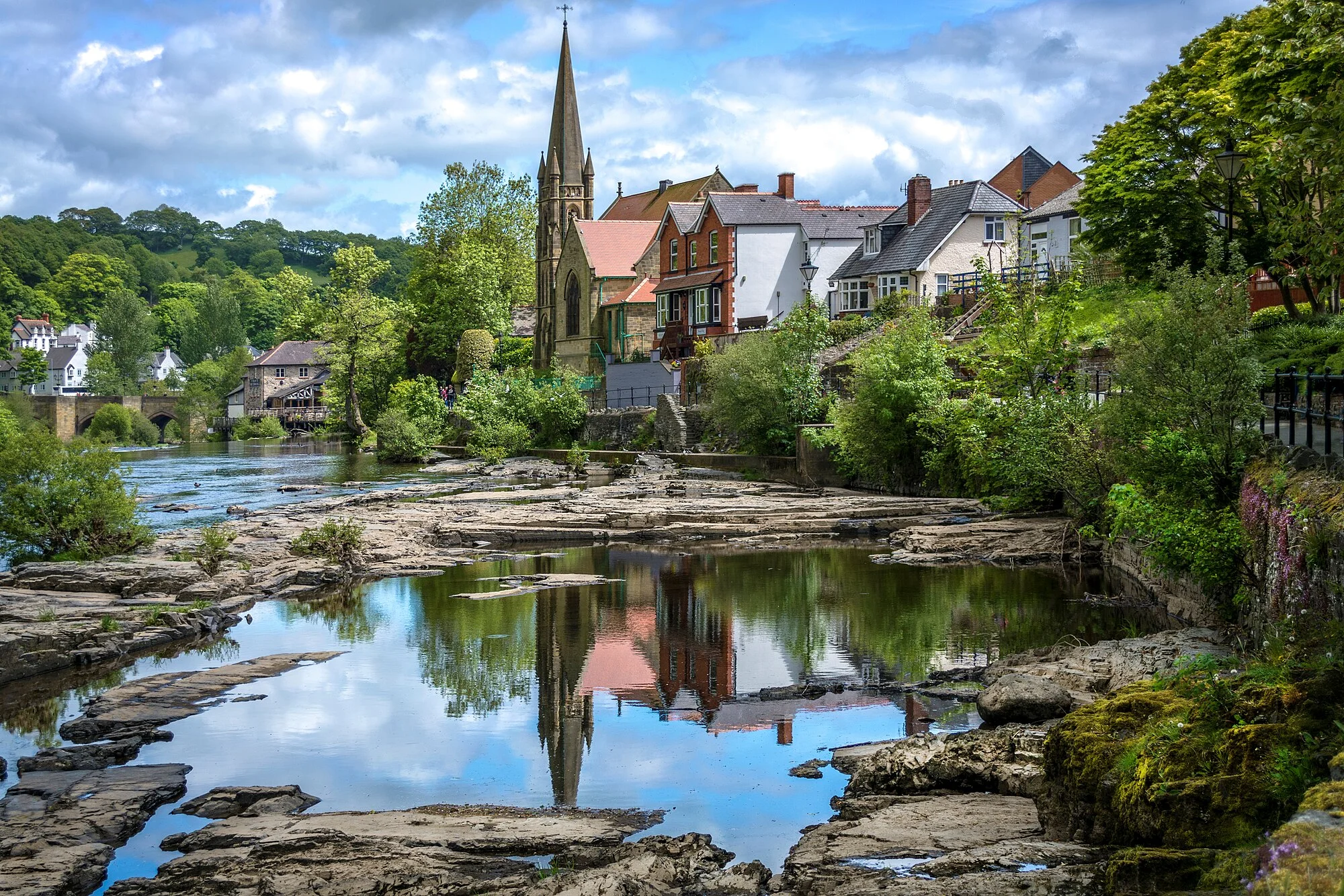 Vets in Llangollen