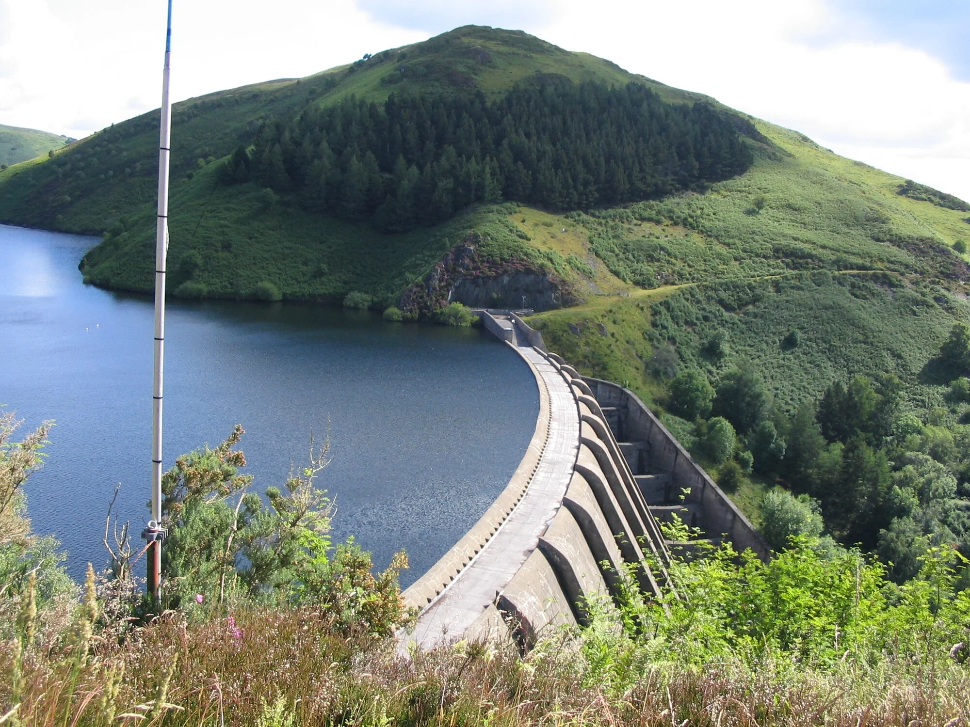 Vets in Llanidloes