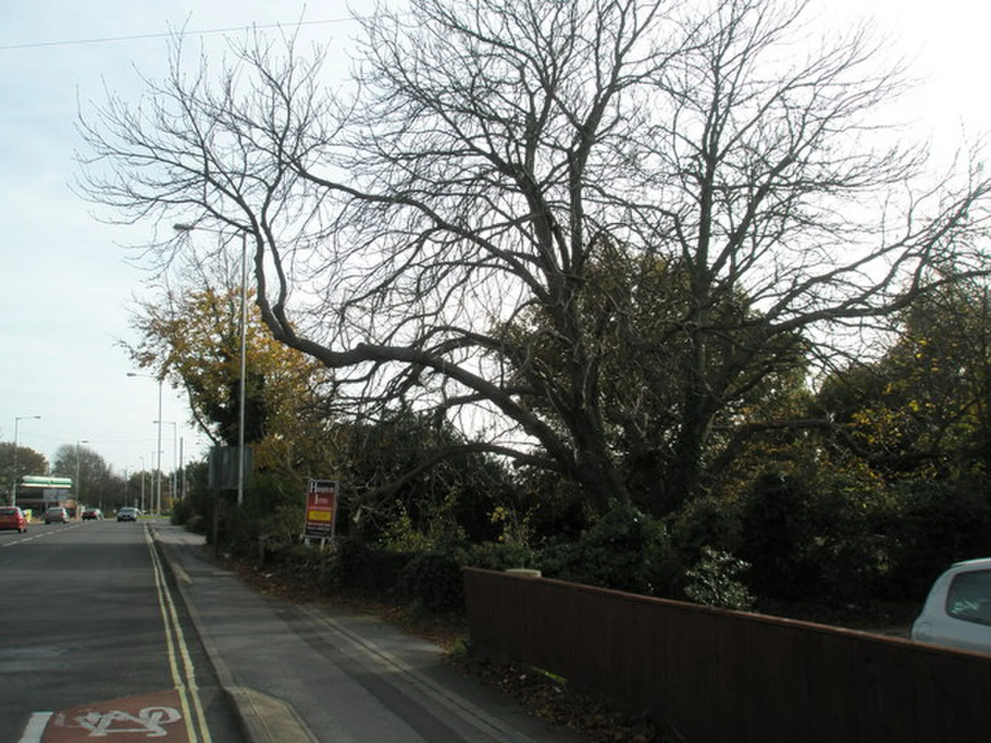 Vets in Locksheath