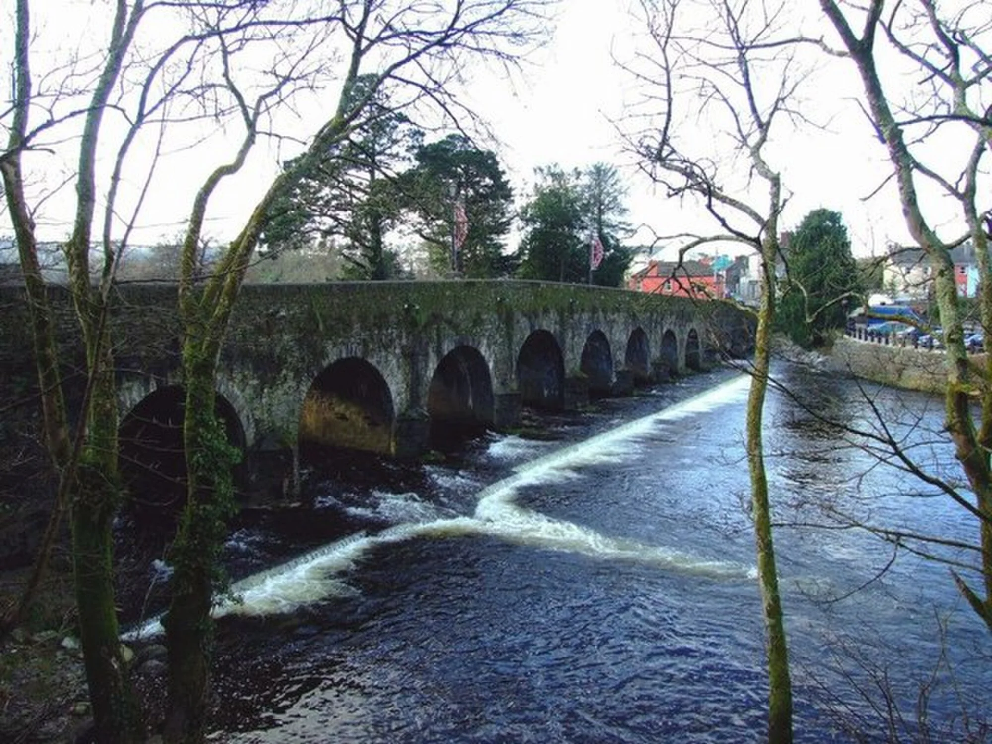 Vets in Macroom