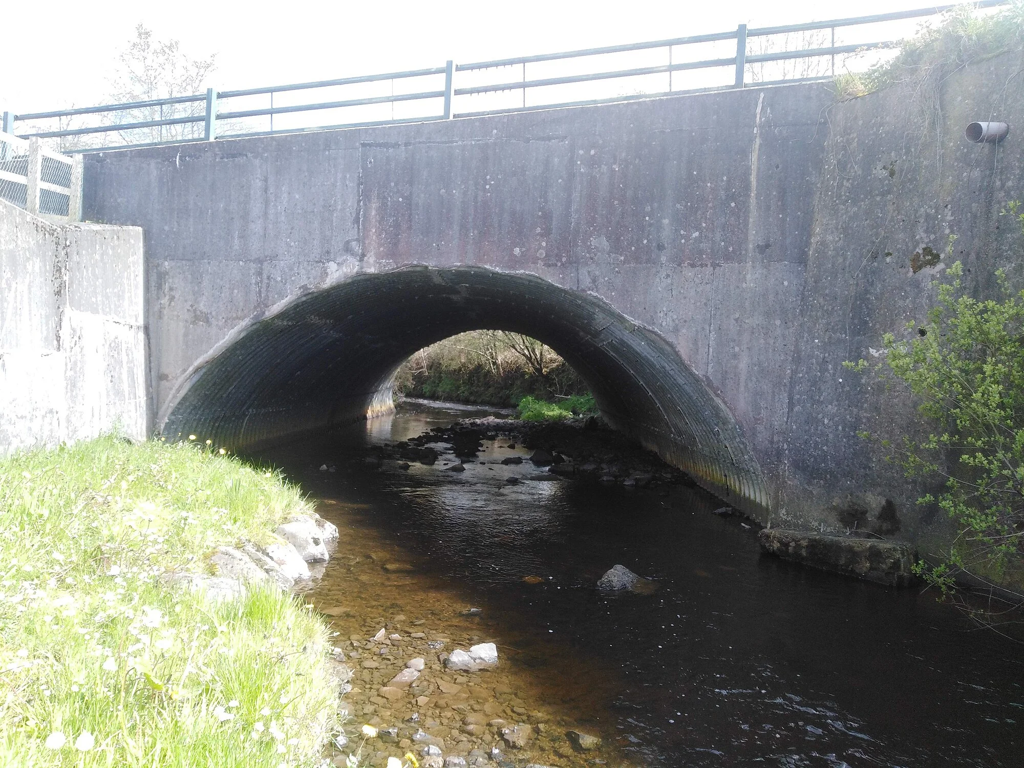 Vets in Maghera