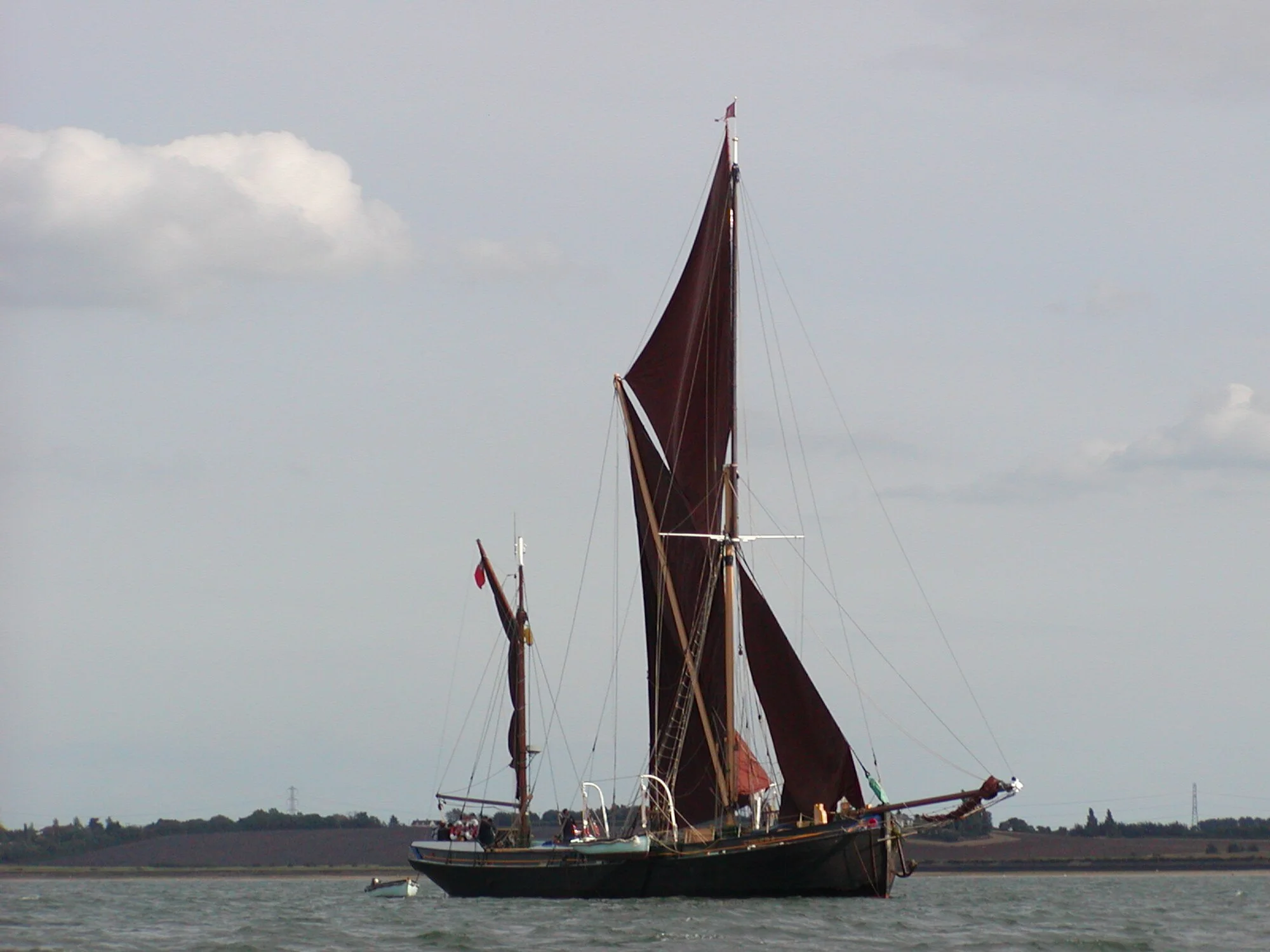 Vets in Maldon