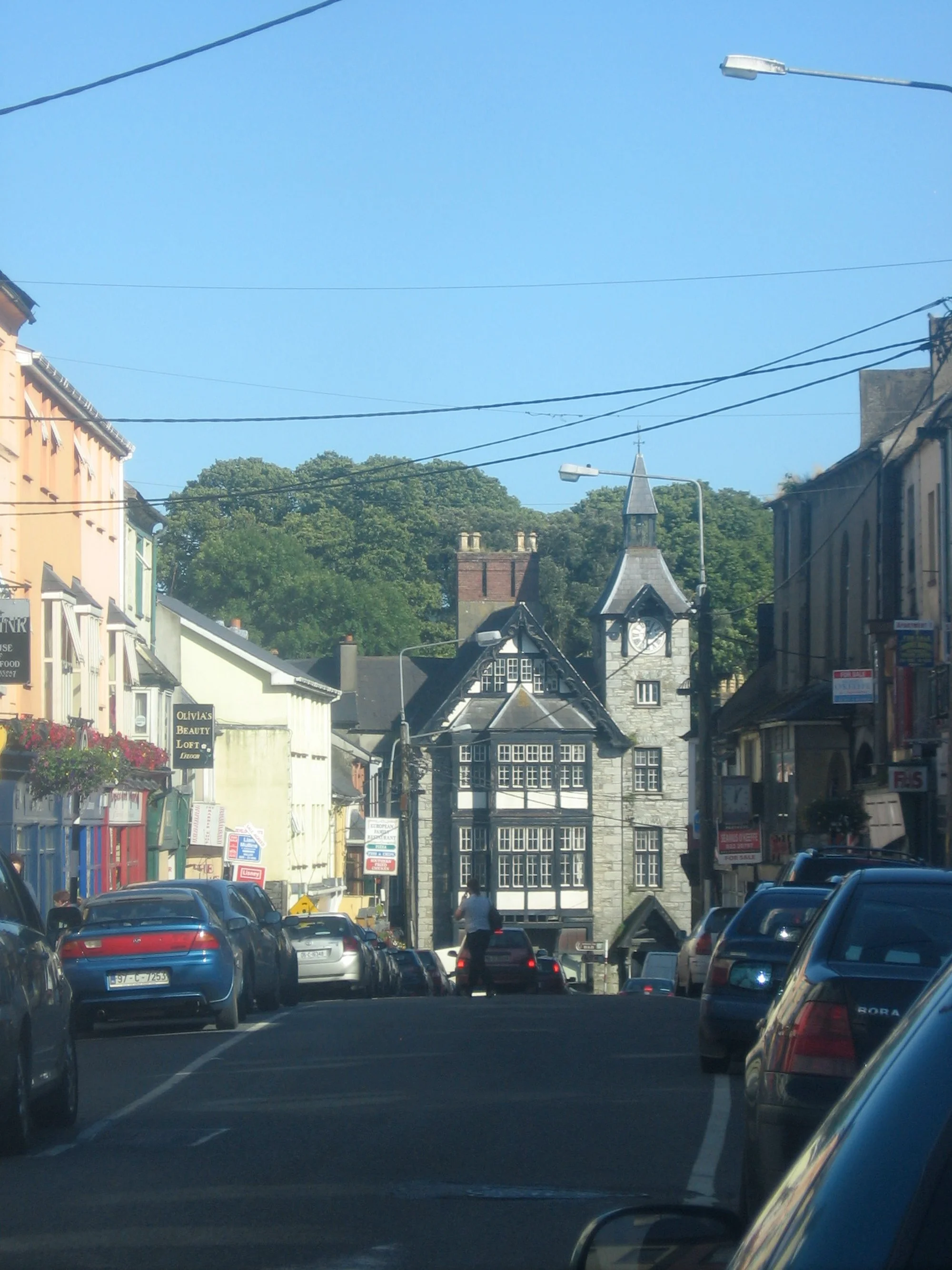 Vets in Mallow