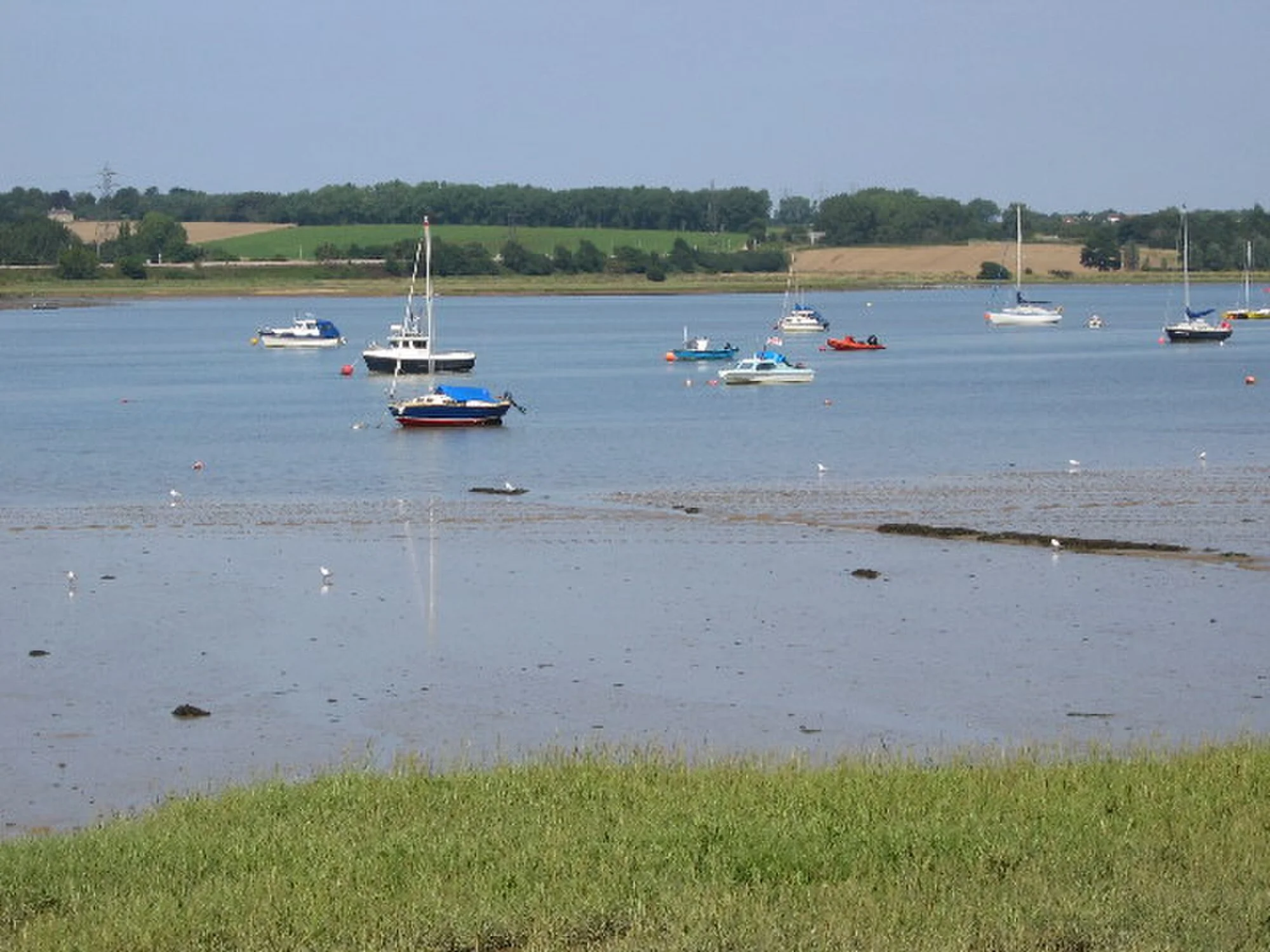 Vets in Manningtree