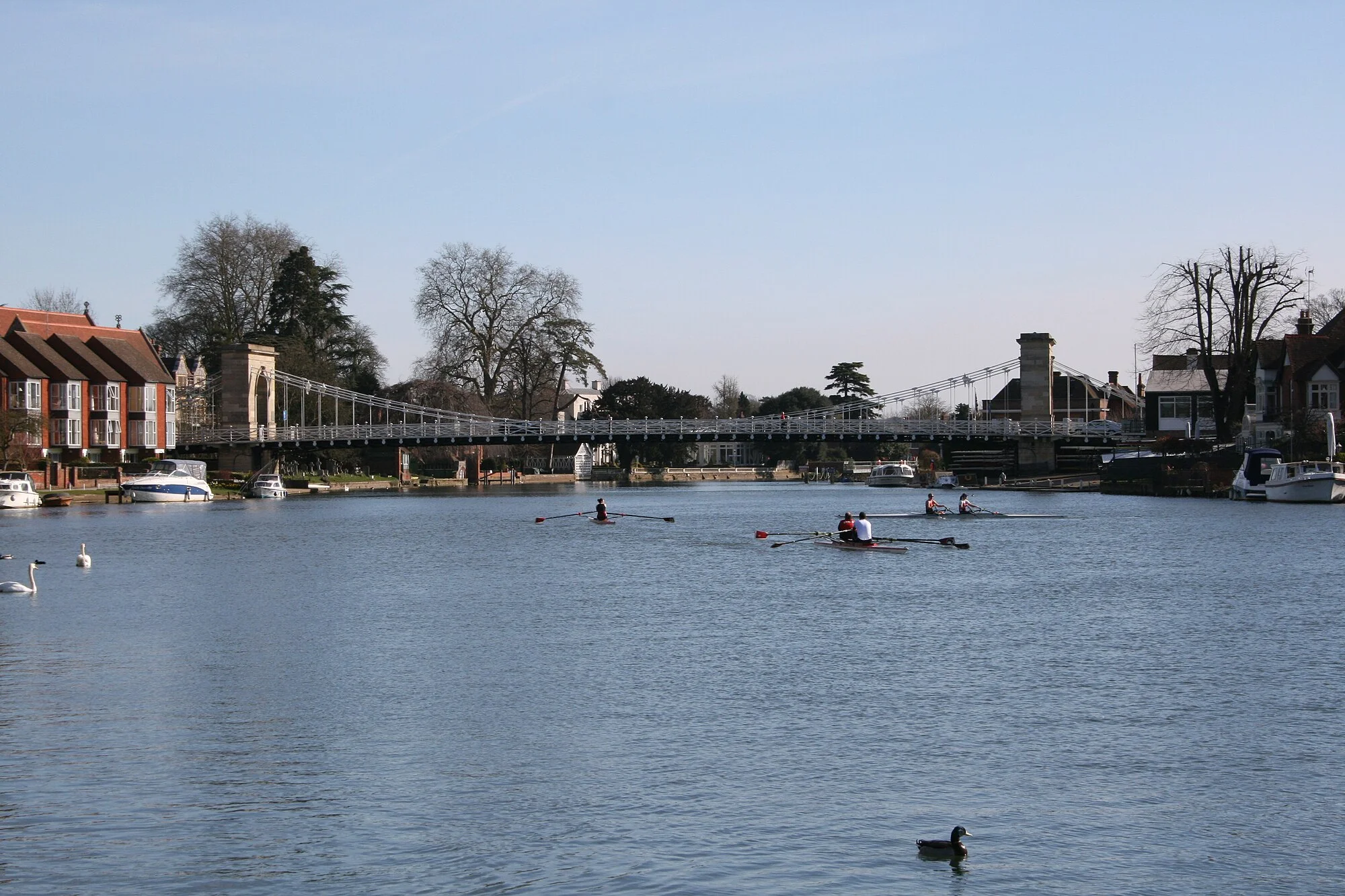 Vets in Marlow