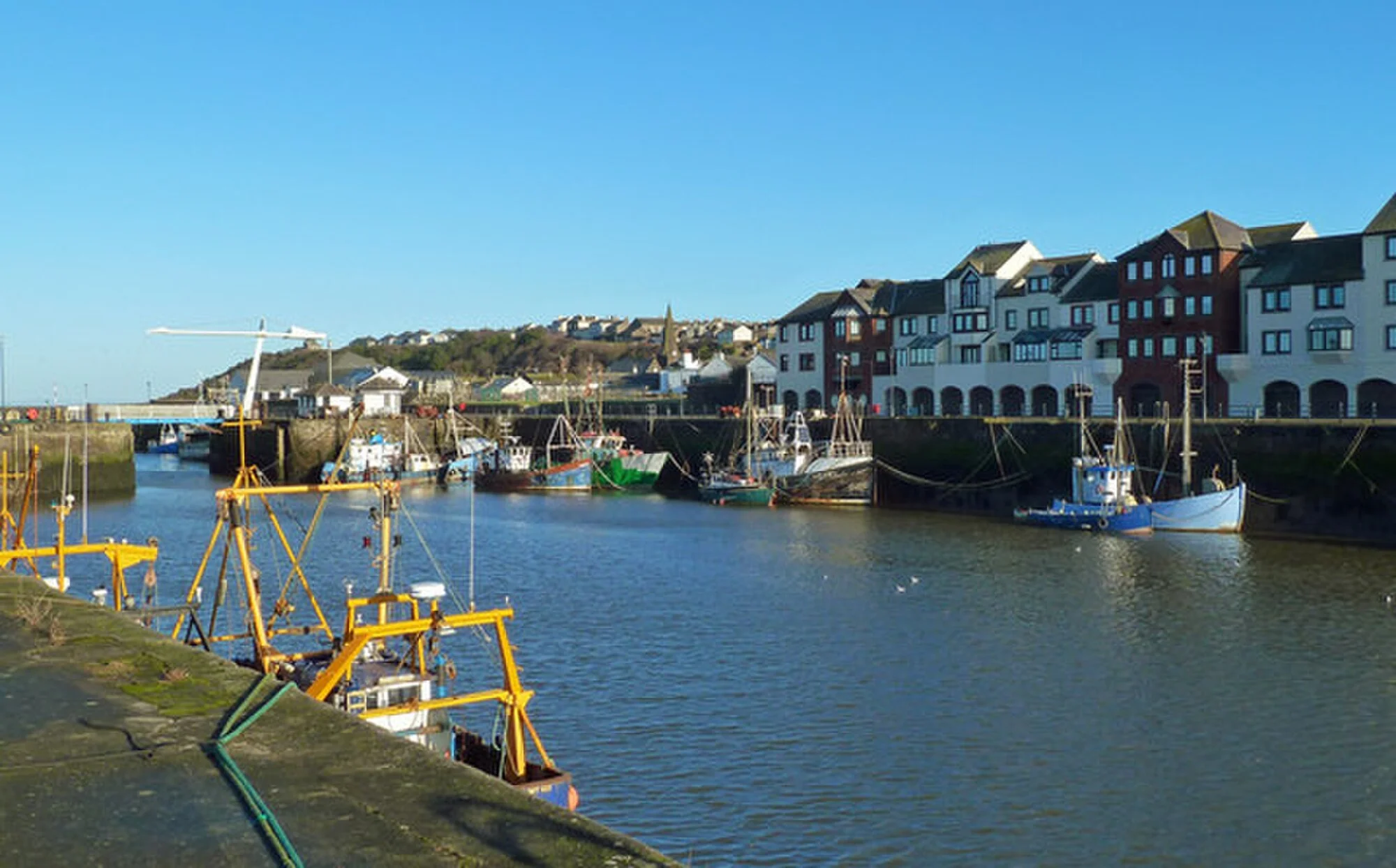 Vets in Maryport