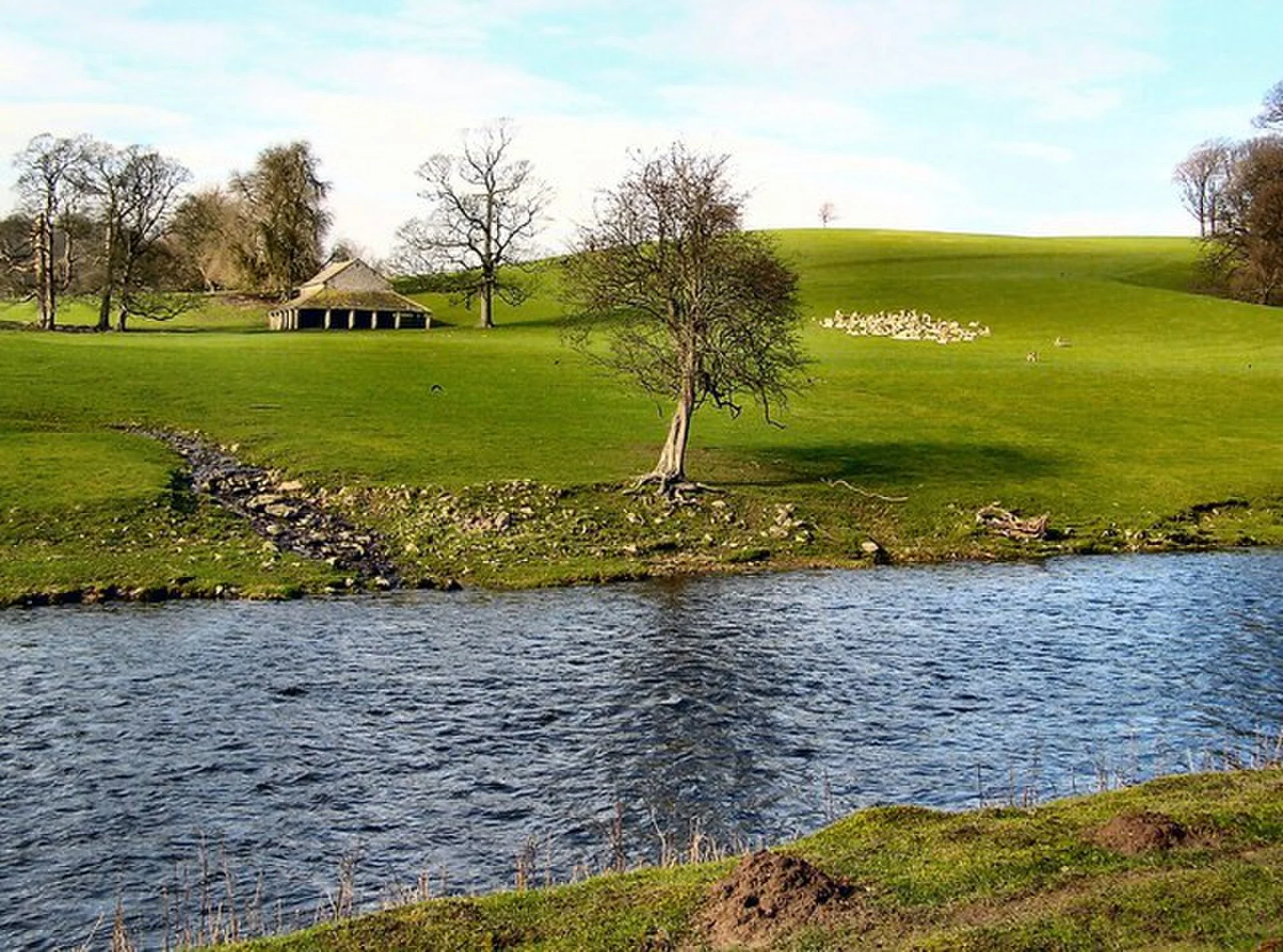 Vets in Milnthorpe
