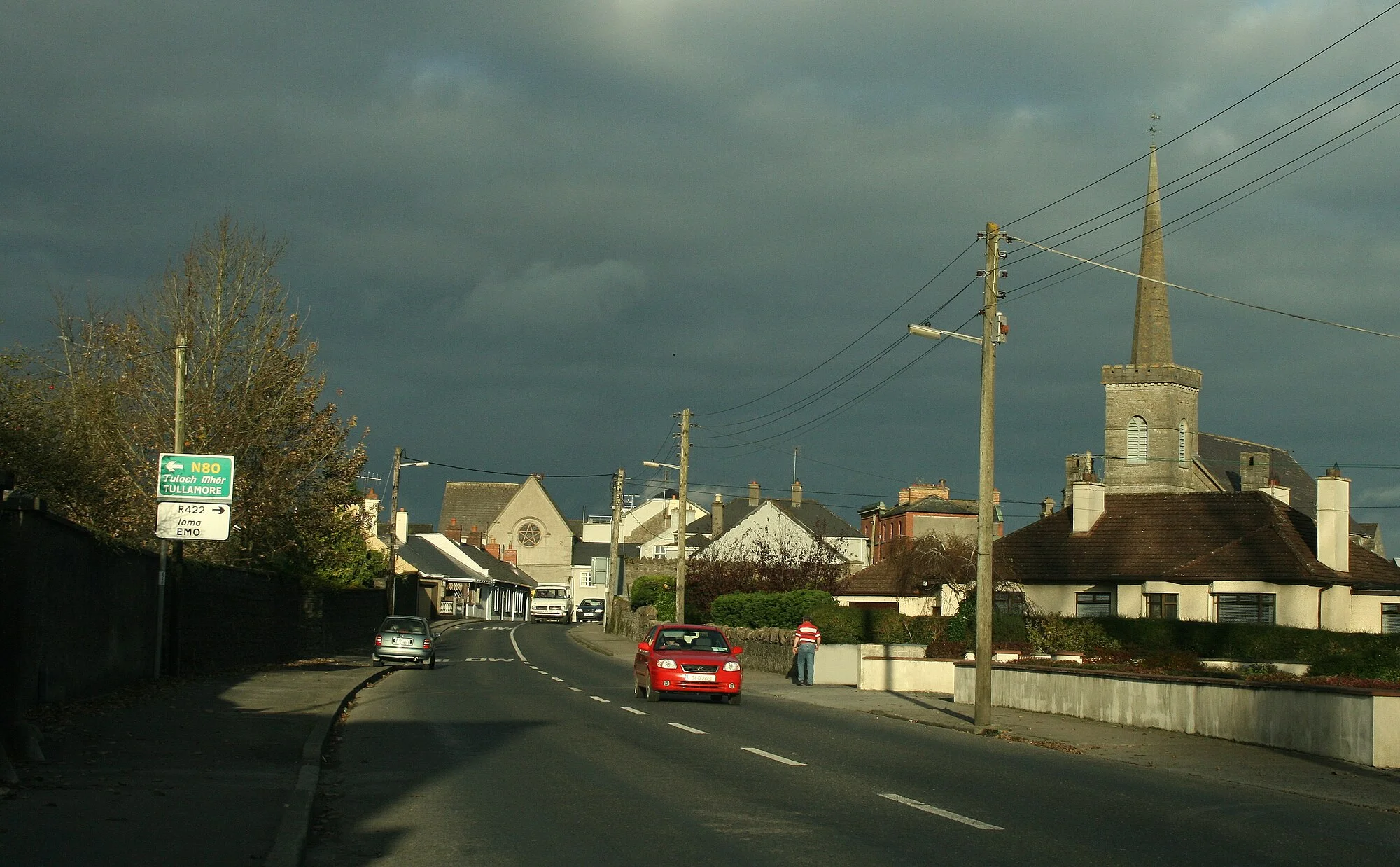 Vets in Mountmellick