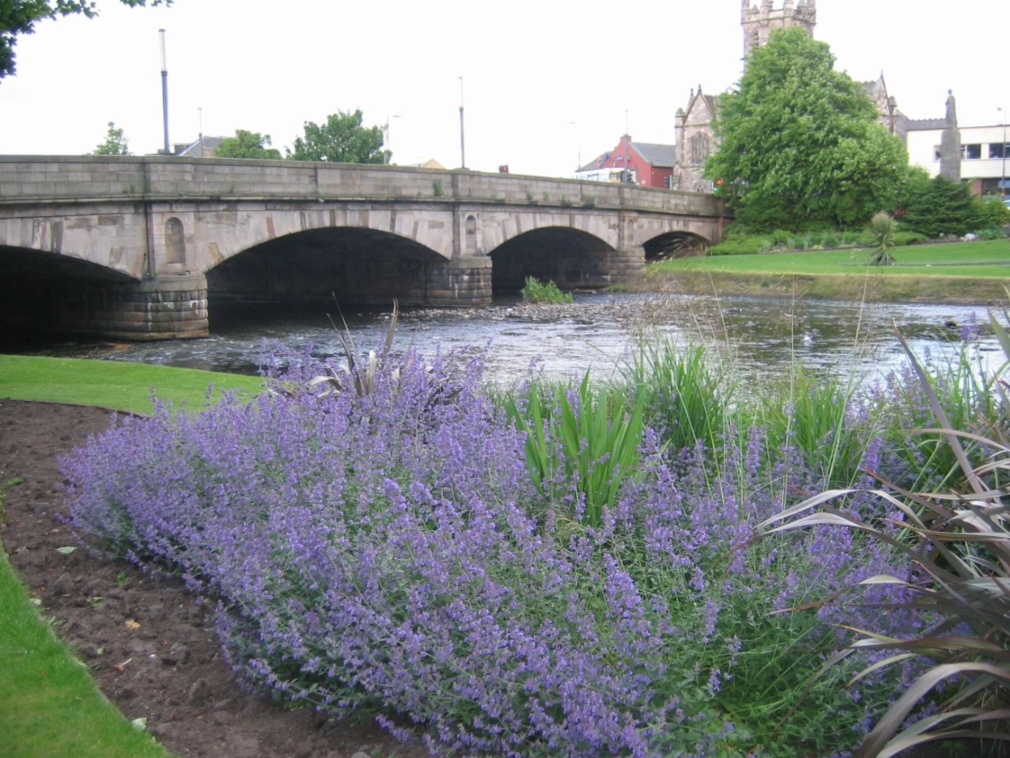 Vets in Musselburgh