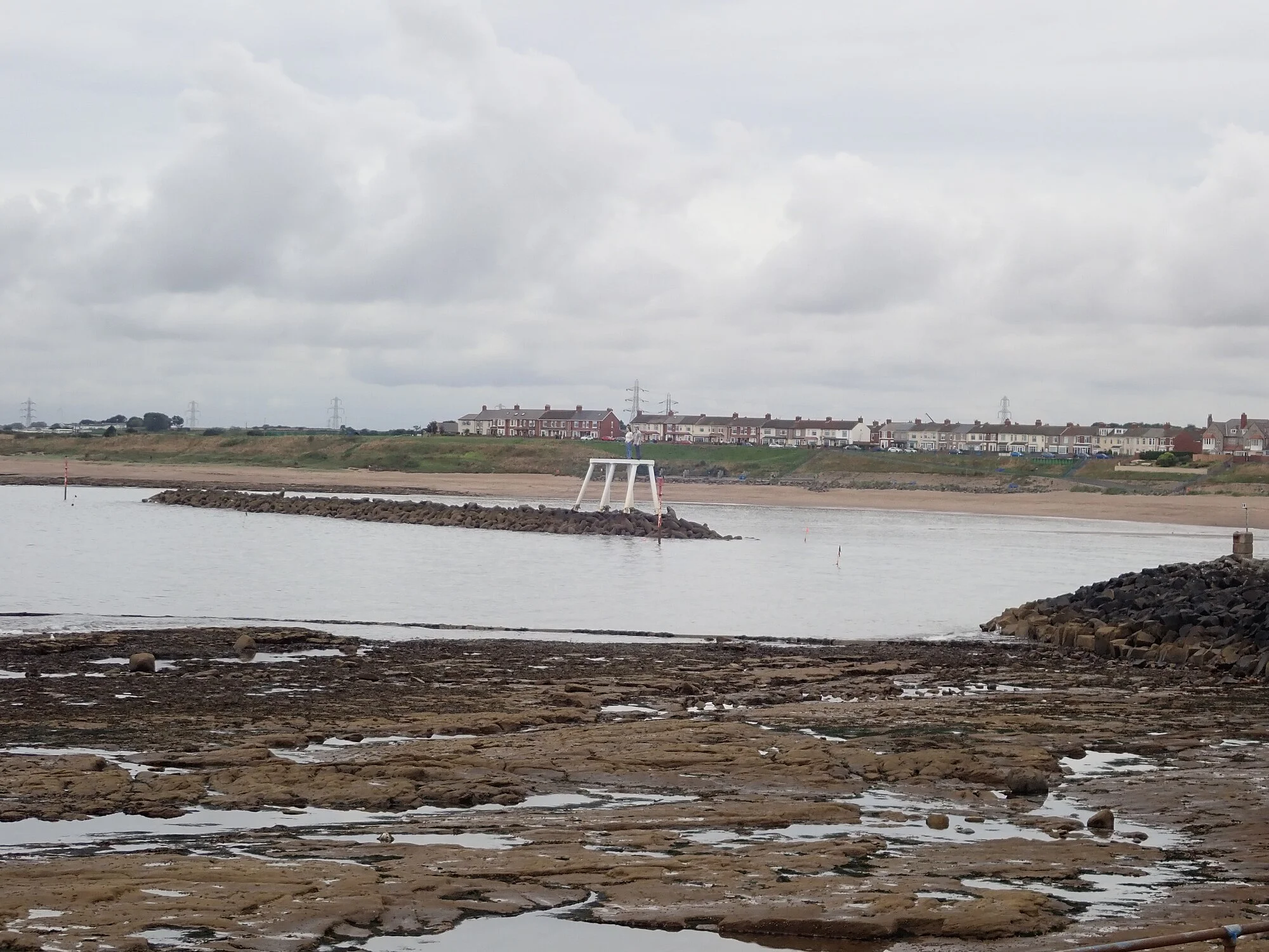 Vets in Newbiggin-By-The-Sea
