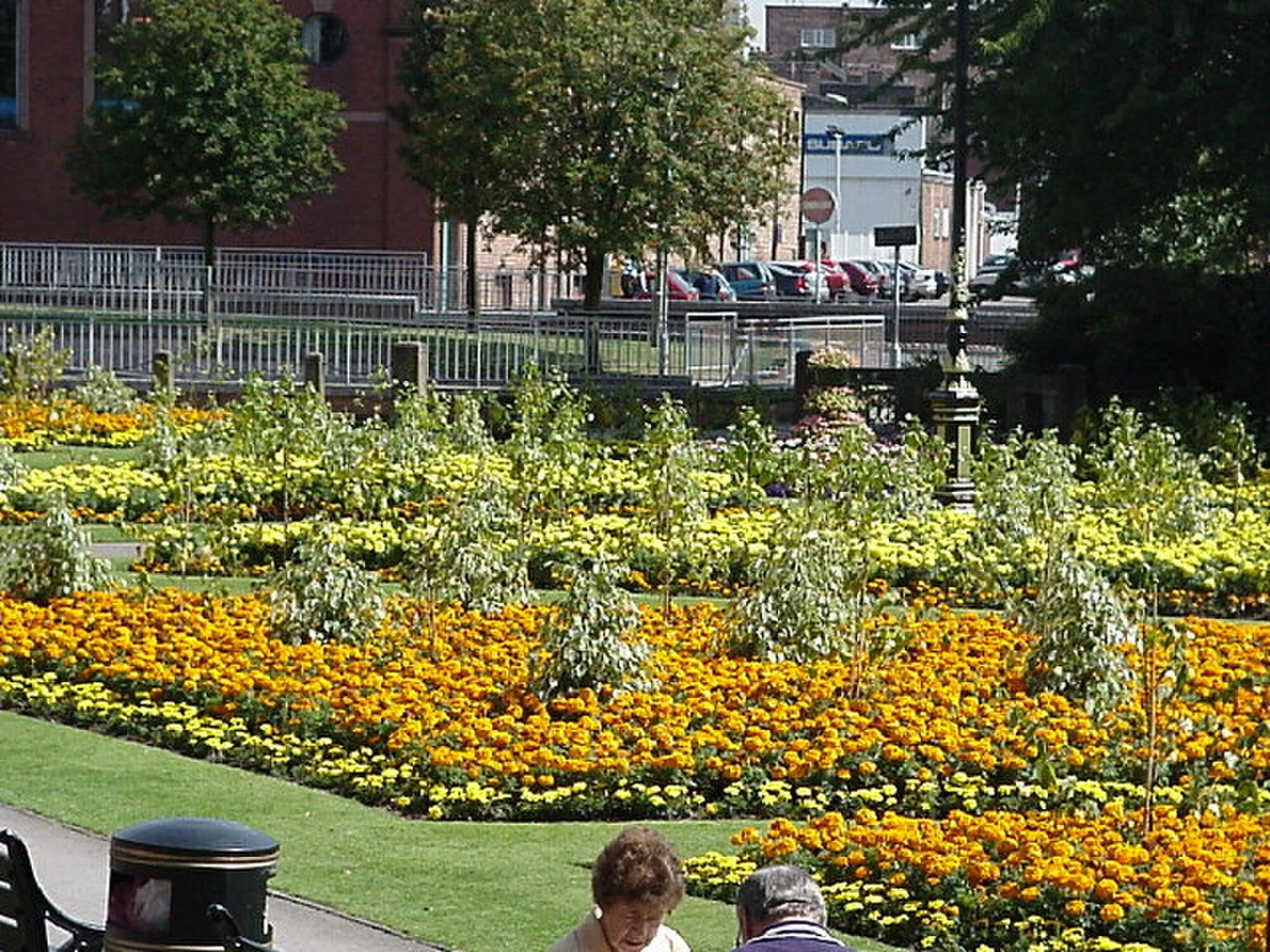 Vets in Newcastle-under-Lyme