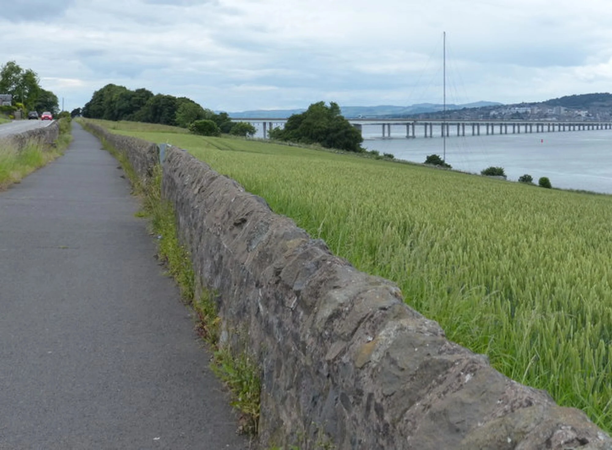 Vets in Newport-On-Tay