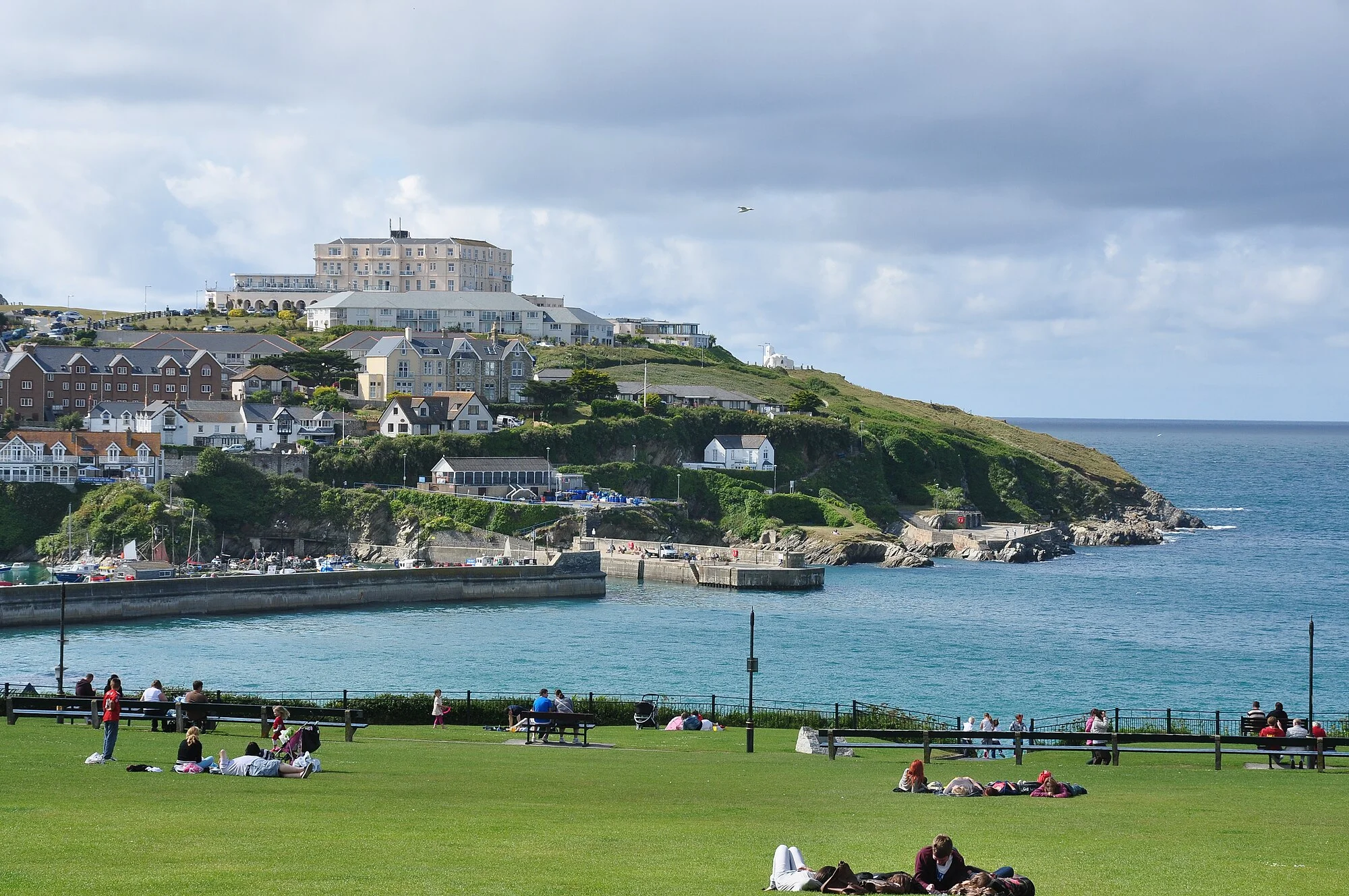 Vets in Newquay