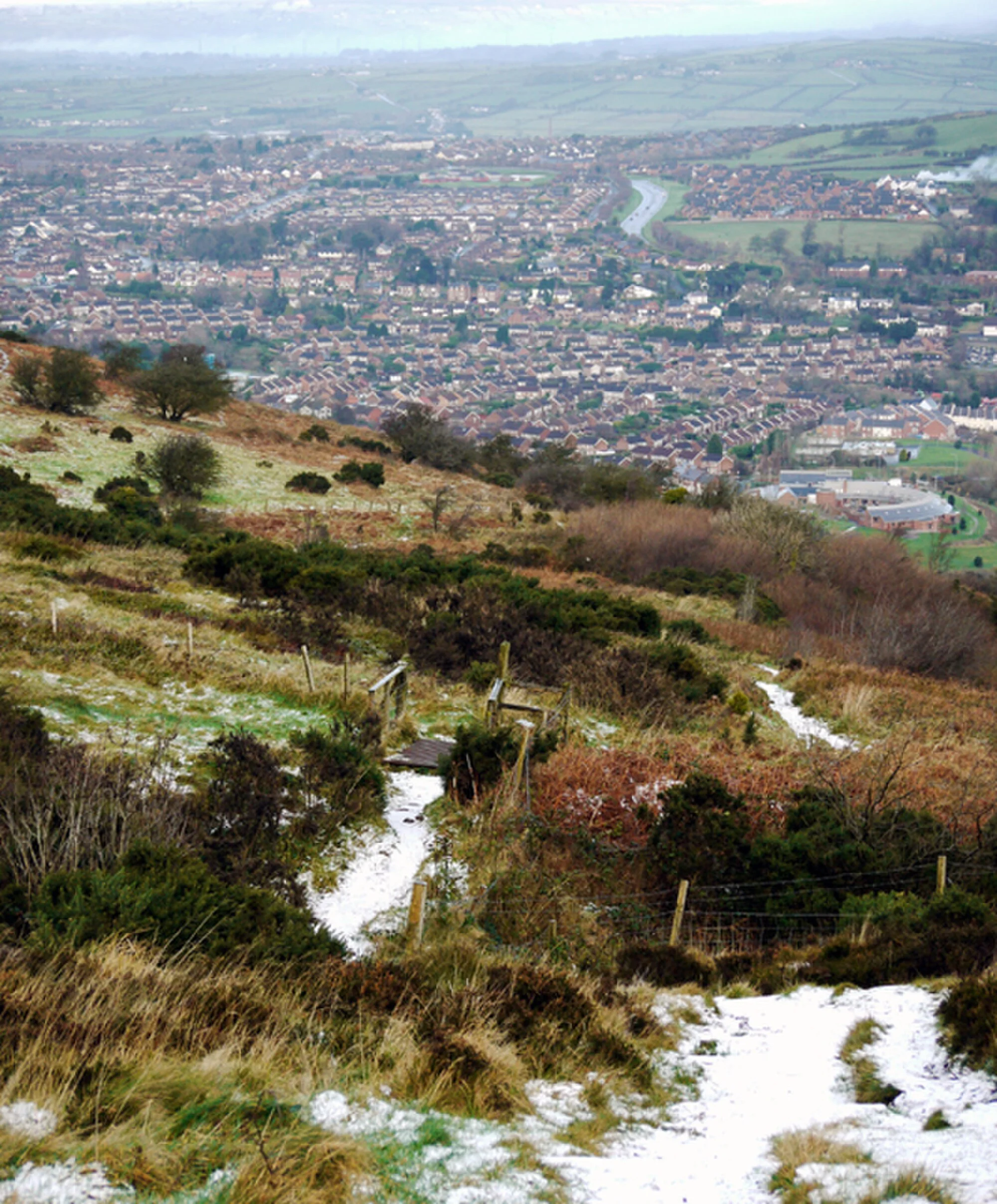 Vets in Newtownabbey