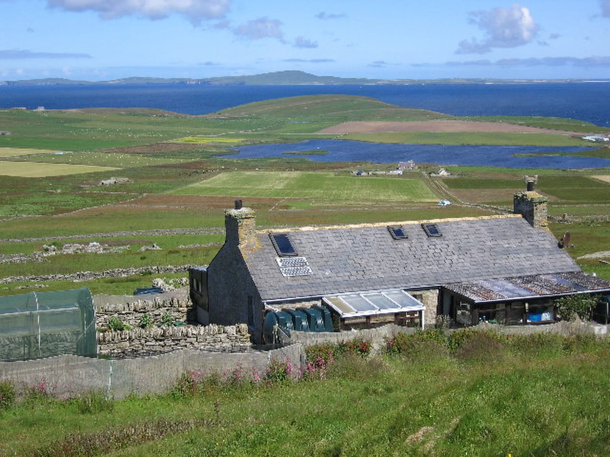 Vets in Orkney
