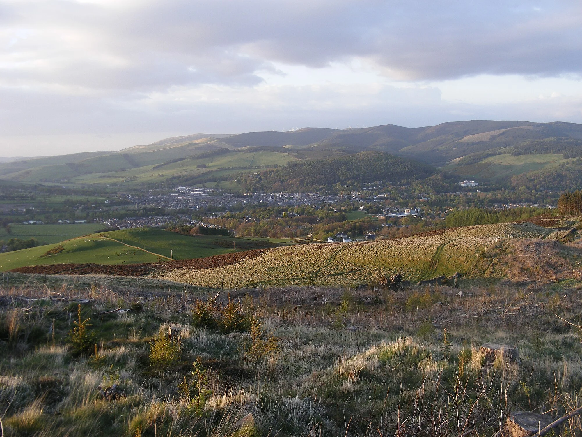 Vets in Peebles