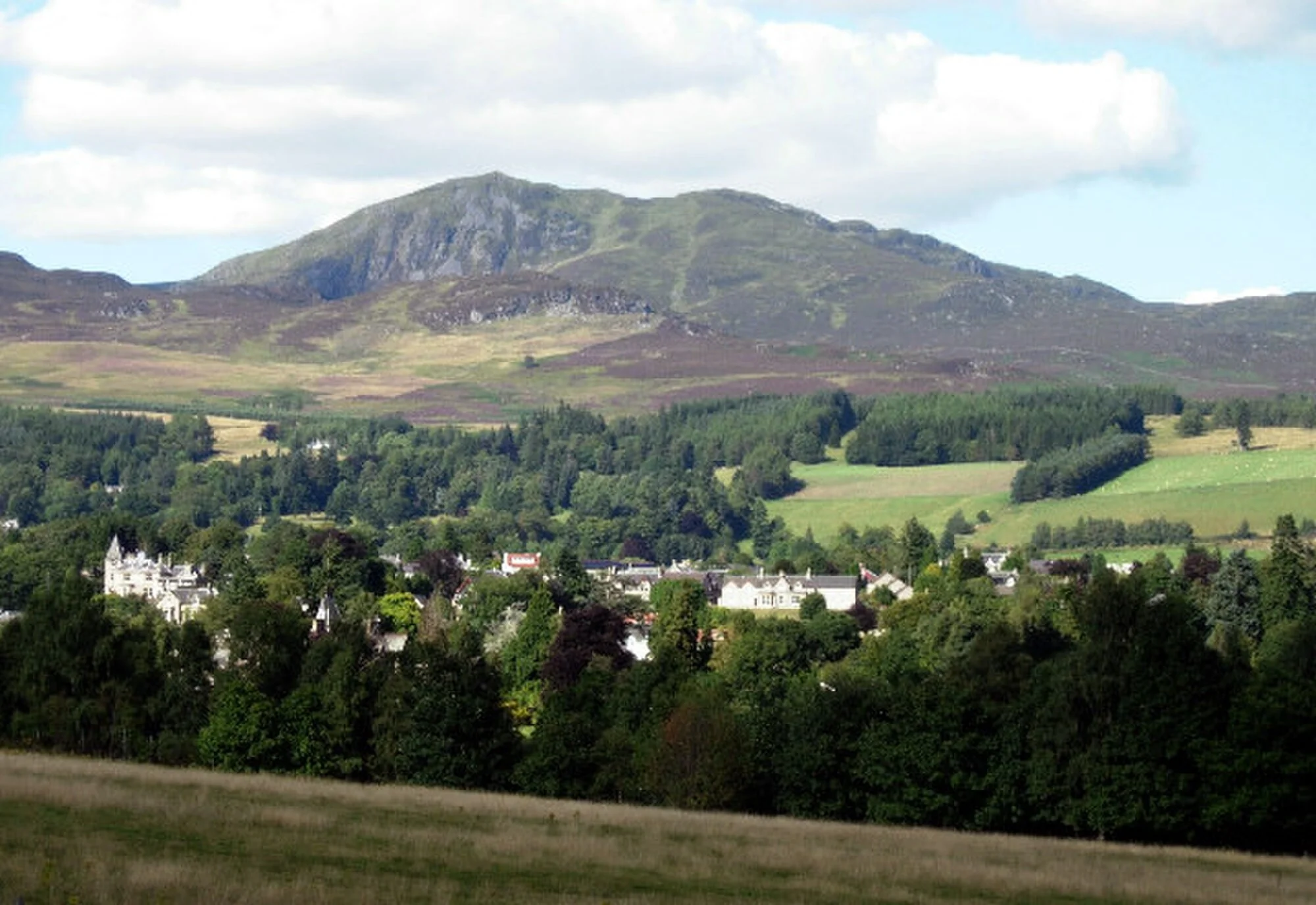 Vets in Pitlochry