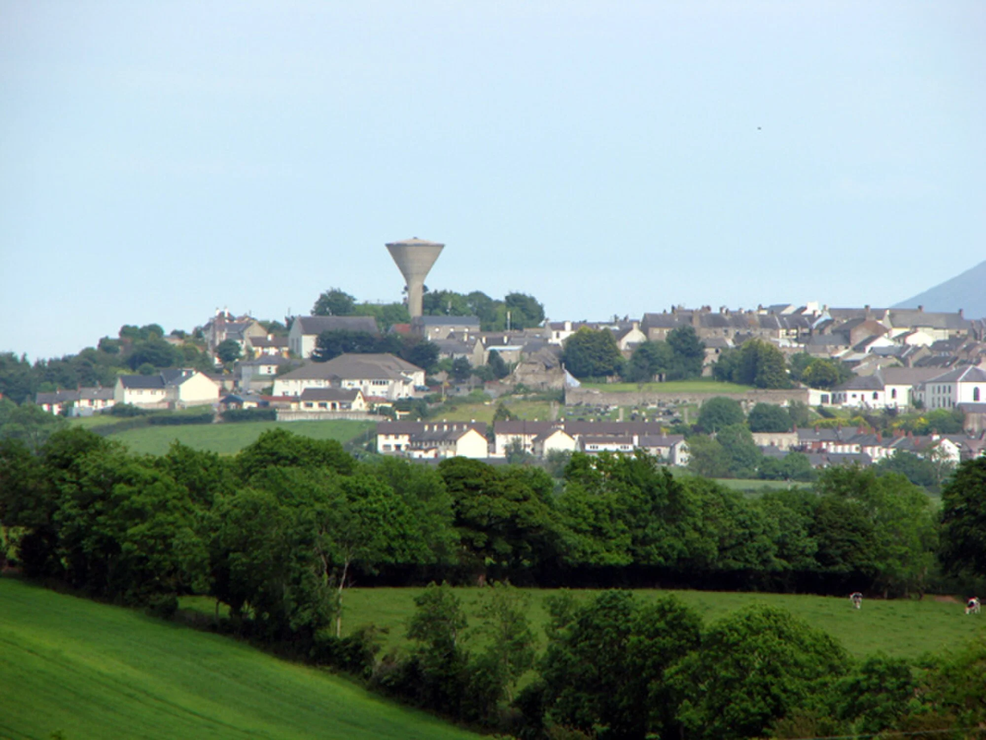 Vets in Rathfriland
