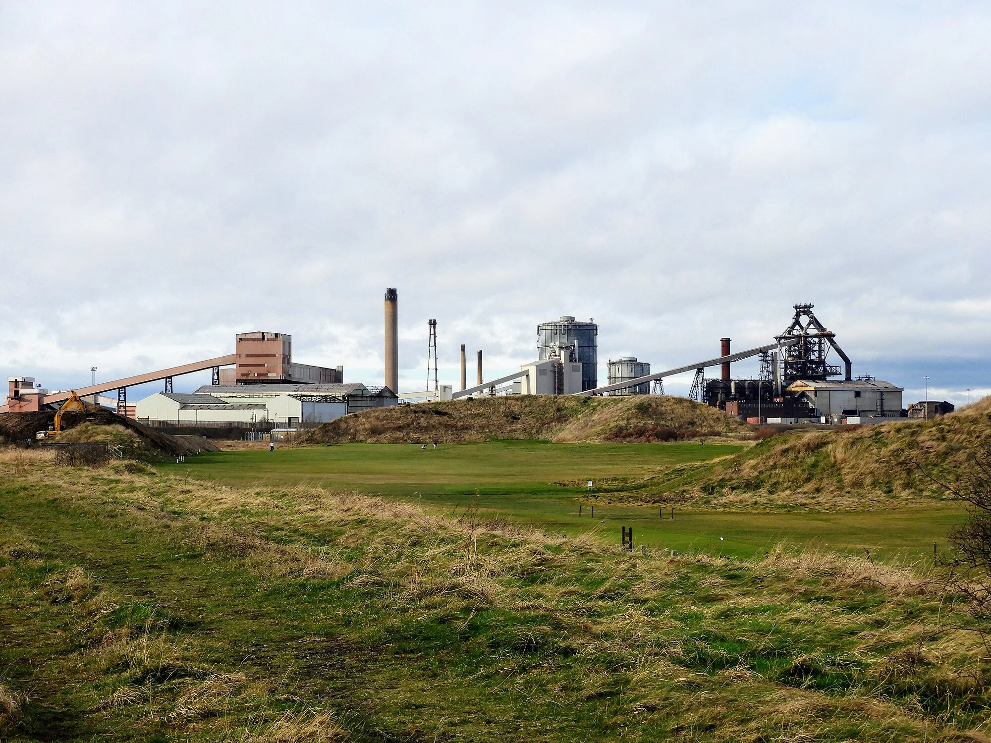 Vets in Redcar