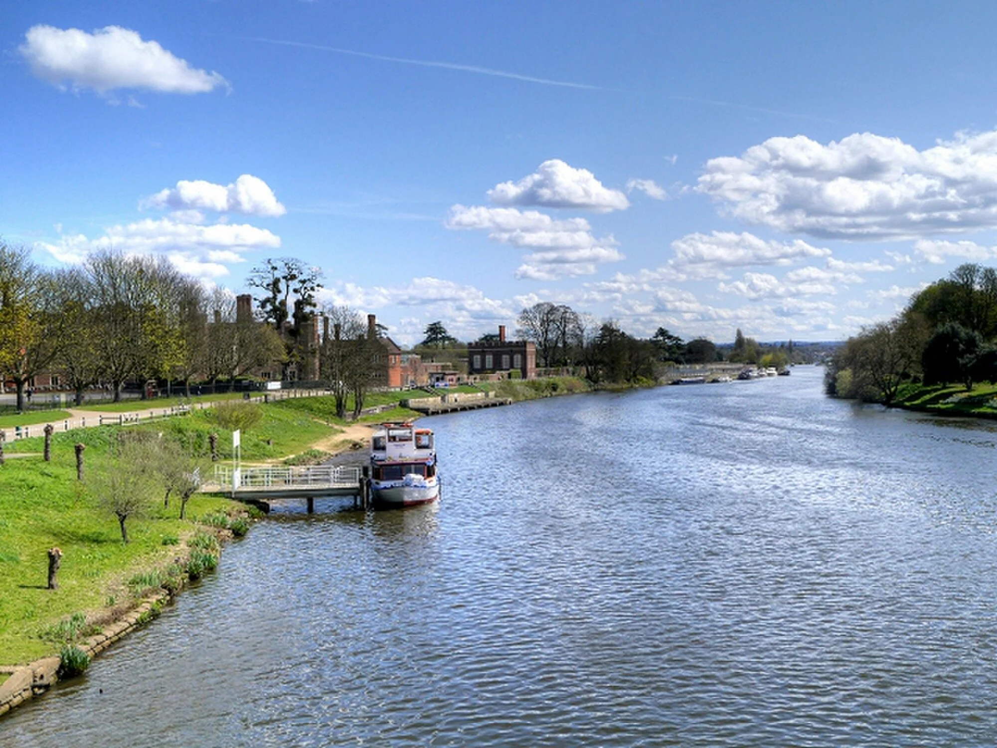 Vets in Richmond upon Thames