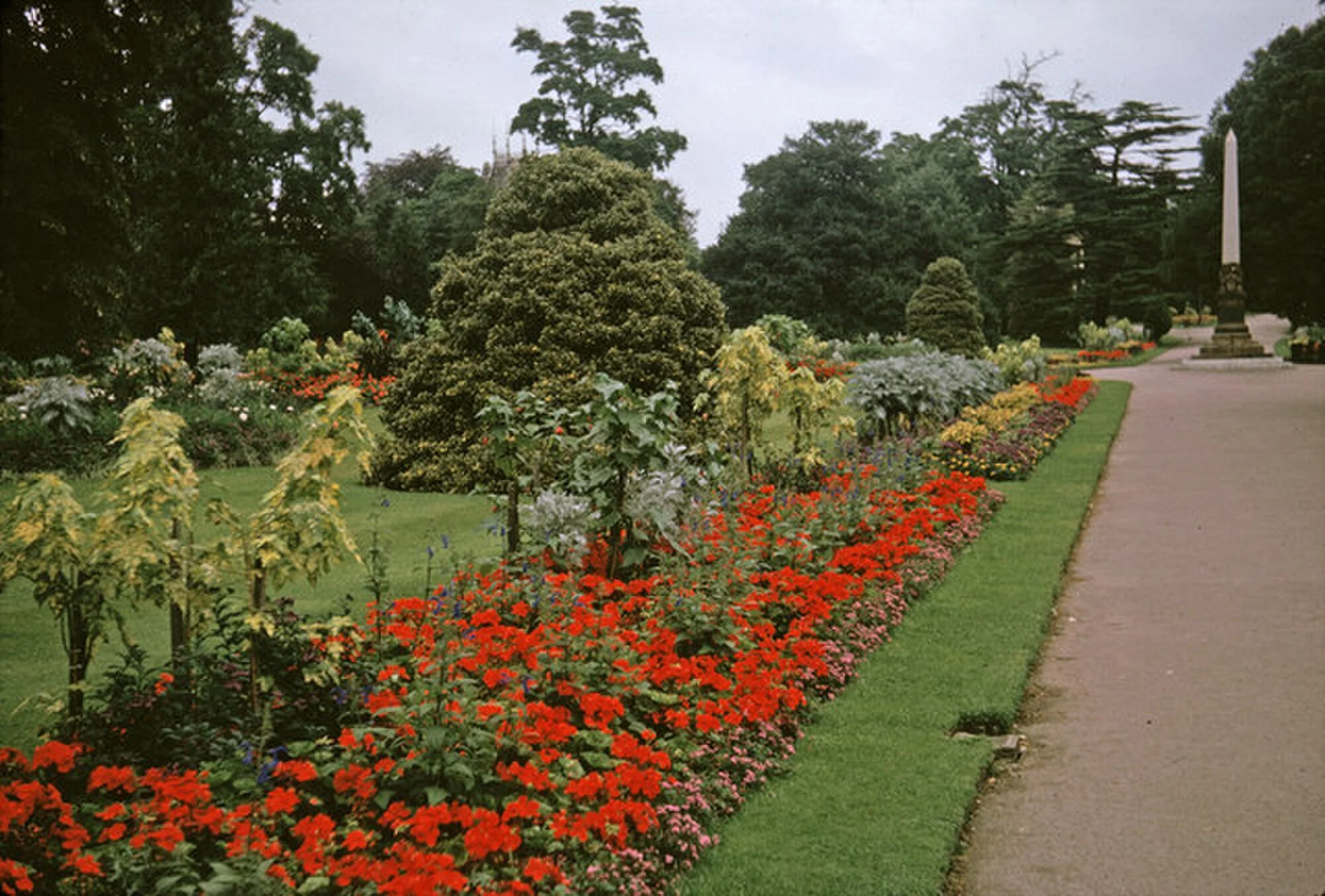 Vets in Royal Leamington Spa
