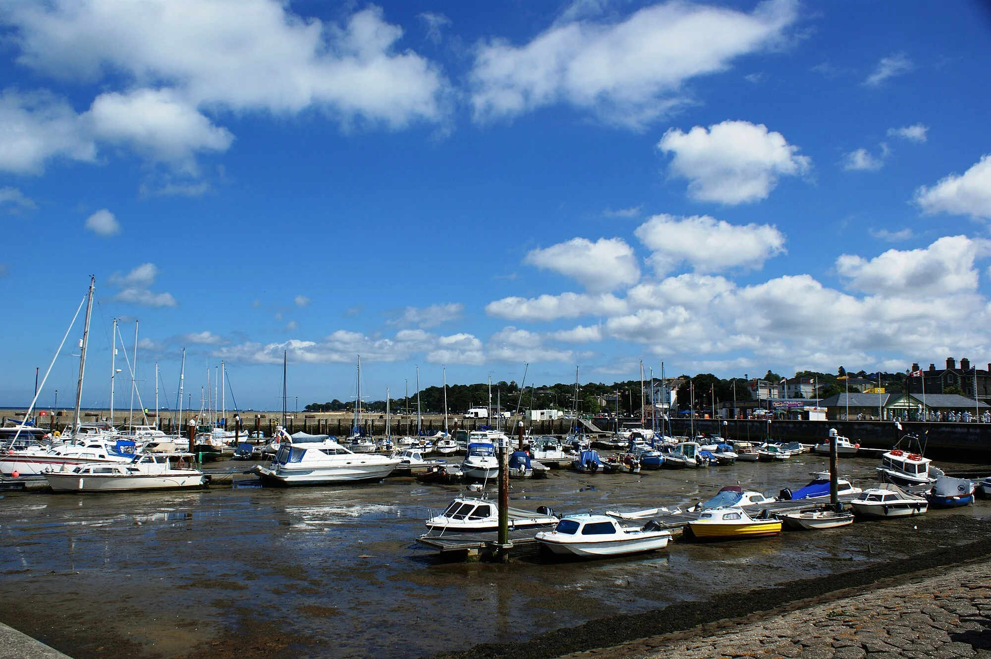 Vets in Ryde