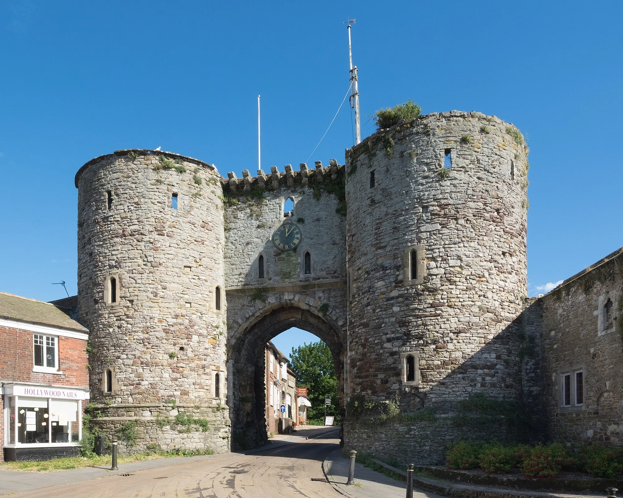 Vets in Rye