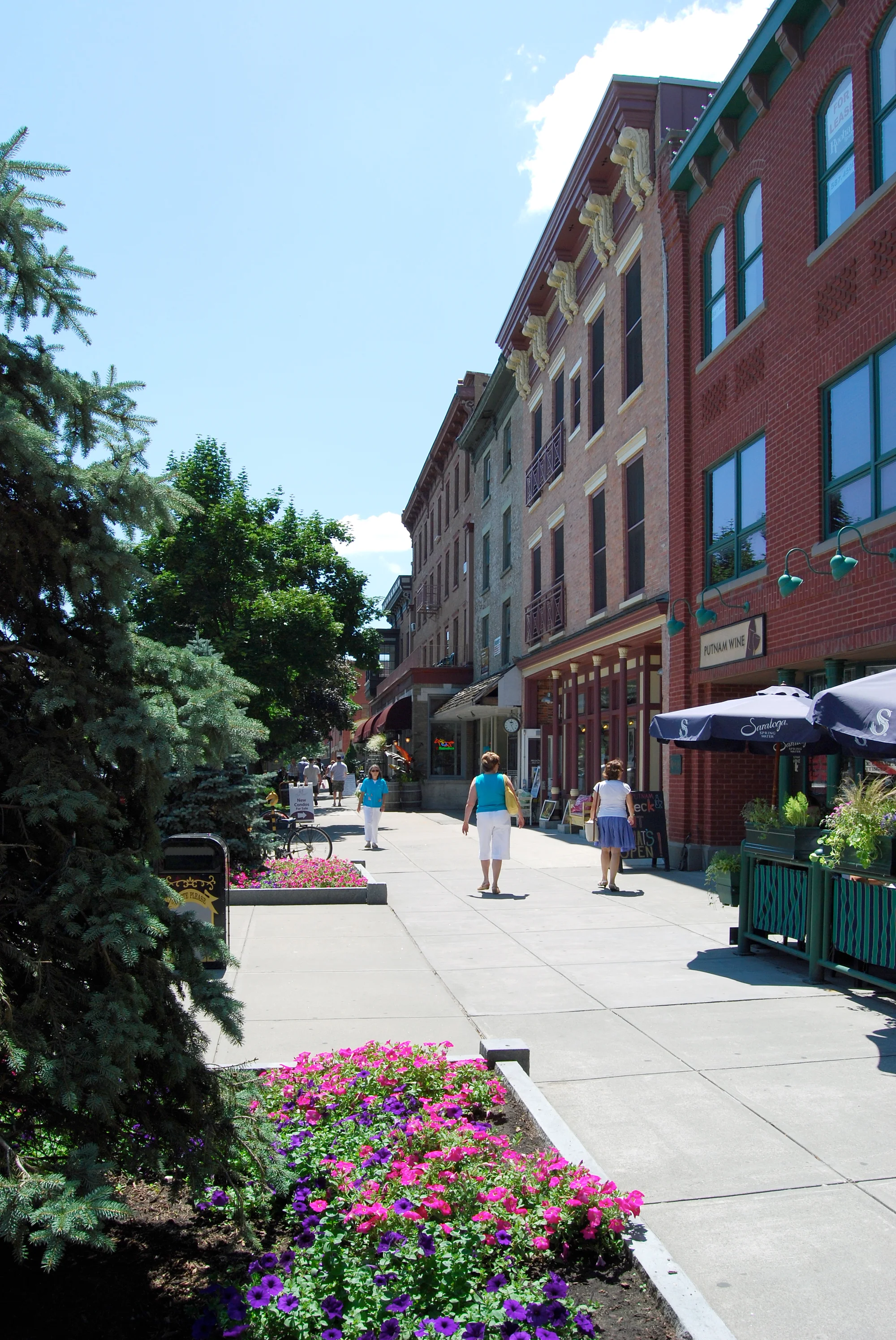 Vets in Saratoga Springs