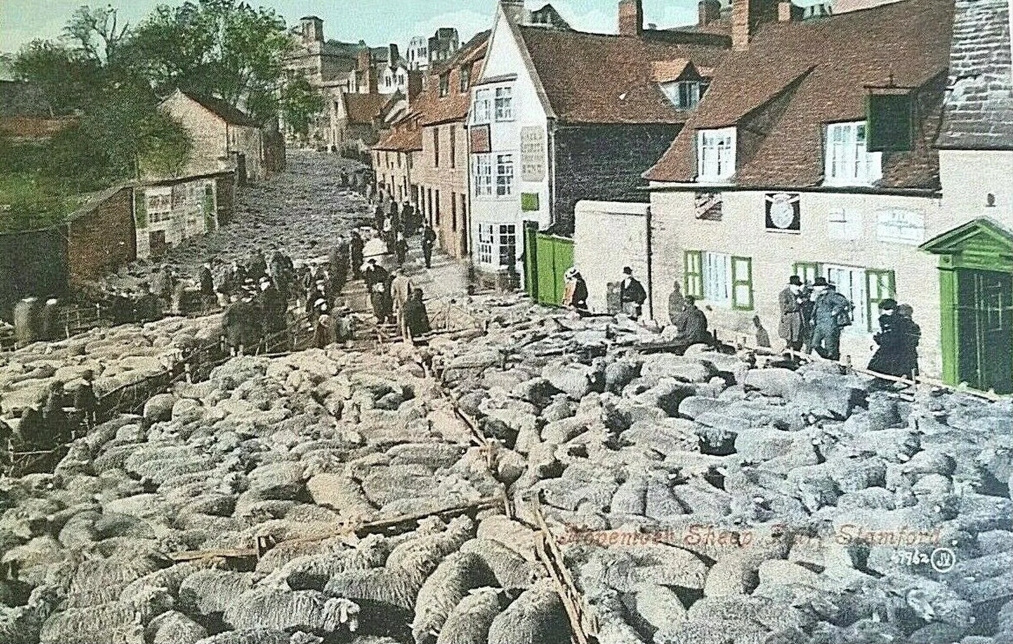 Vets in Stamford