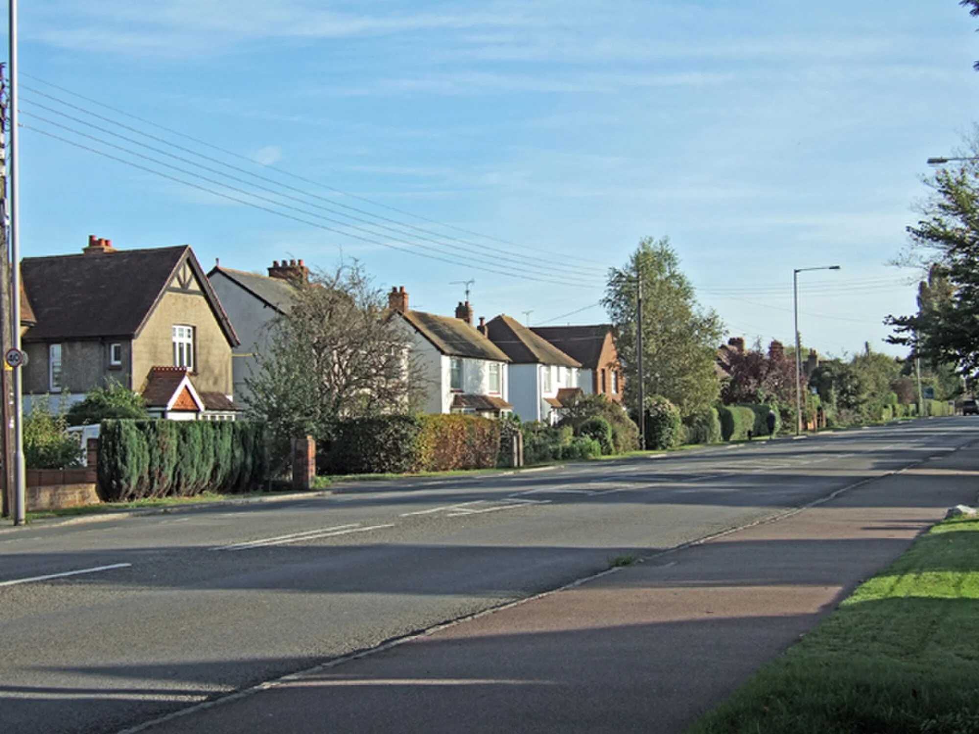 Vets in Stoke Mandeville