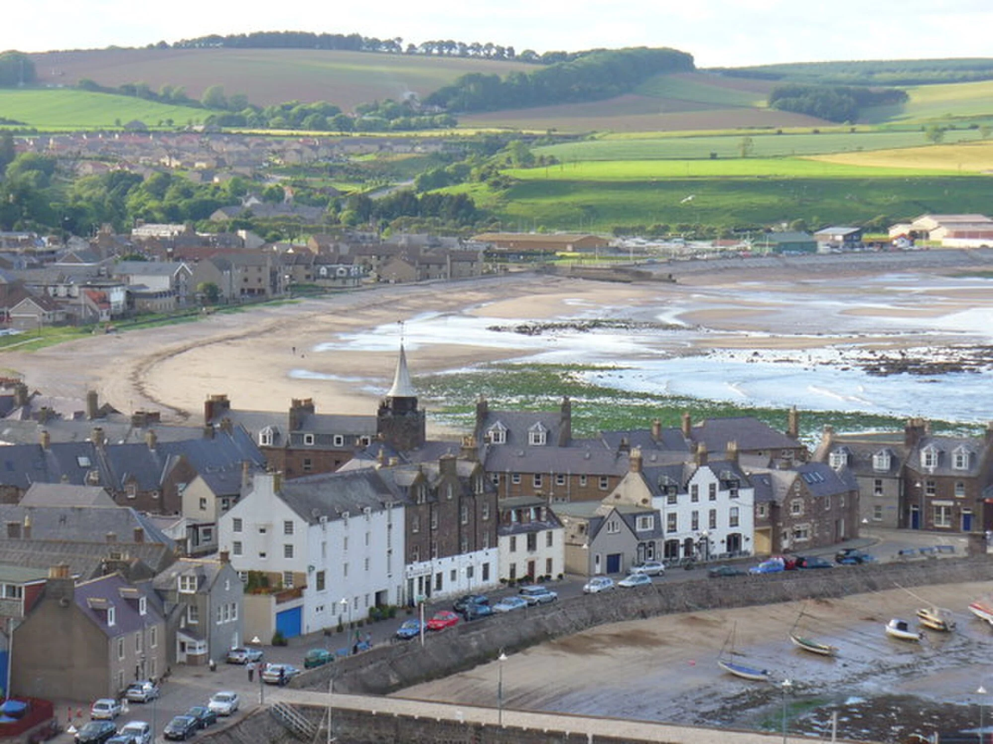 Vets in Stonehaven