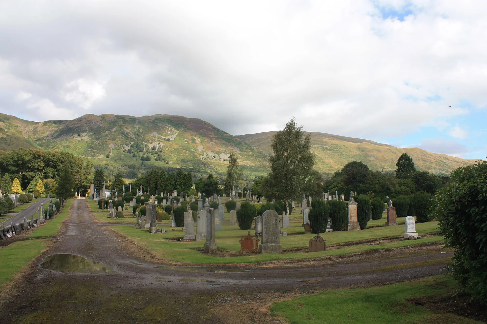 Vets in Tillicoultry