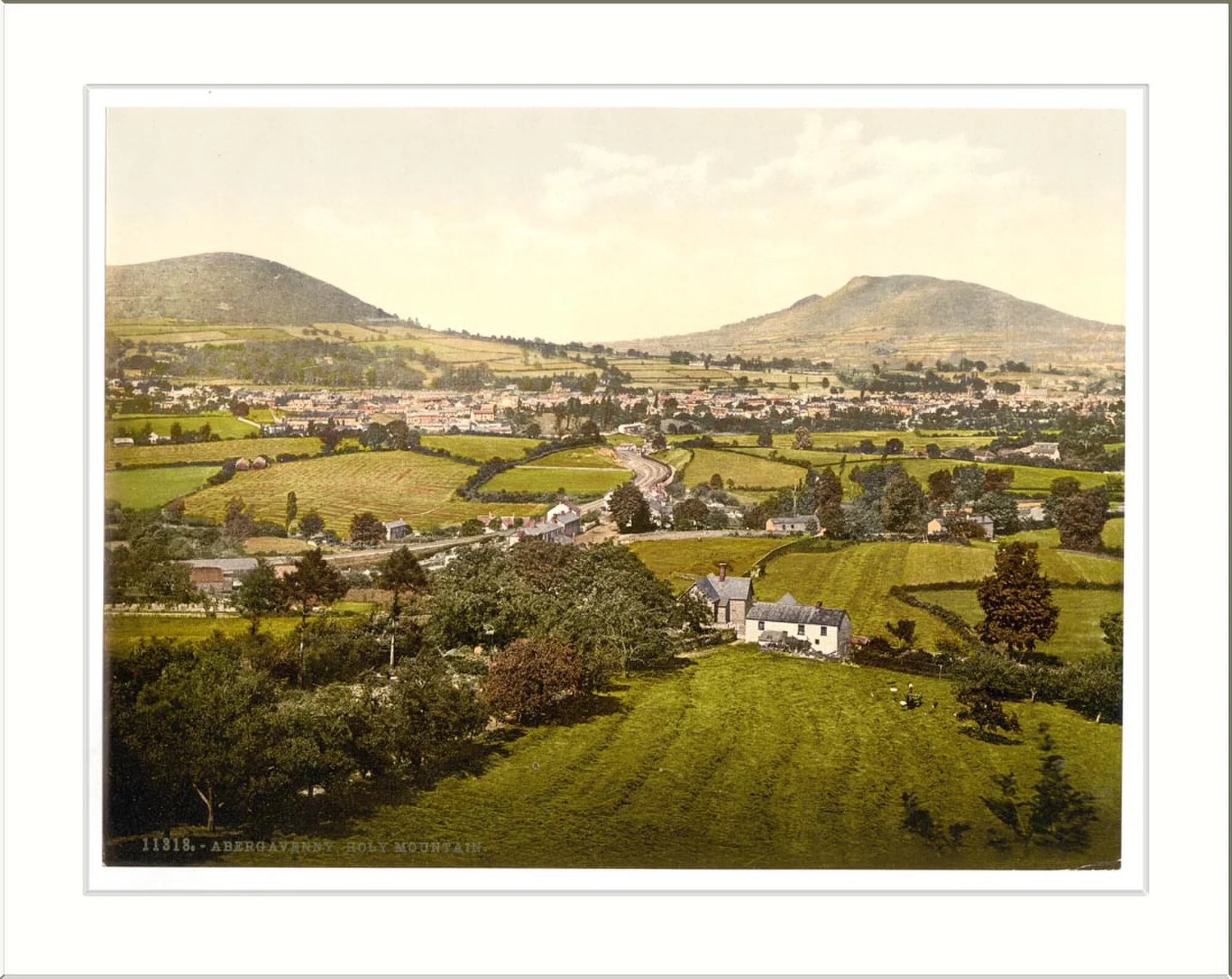 Vets in Abergavenny