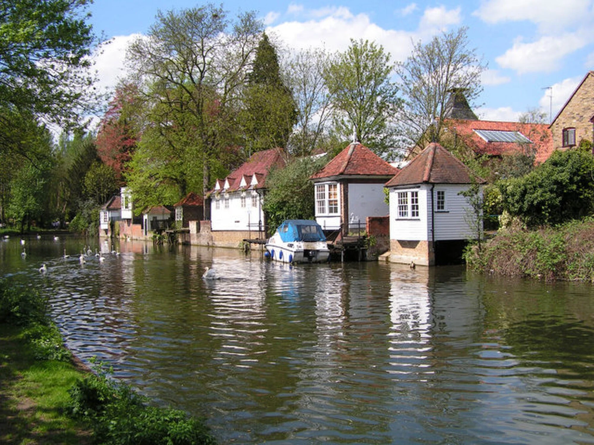 Vets in Ware