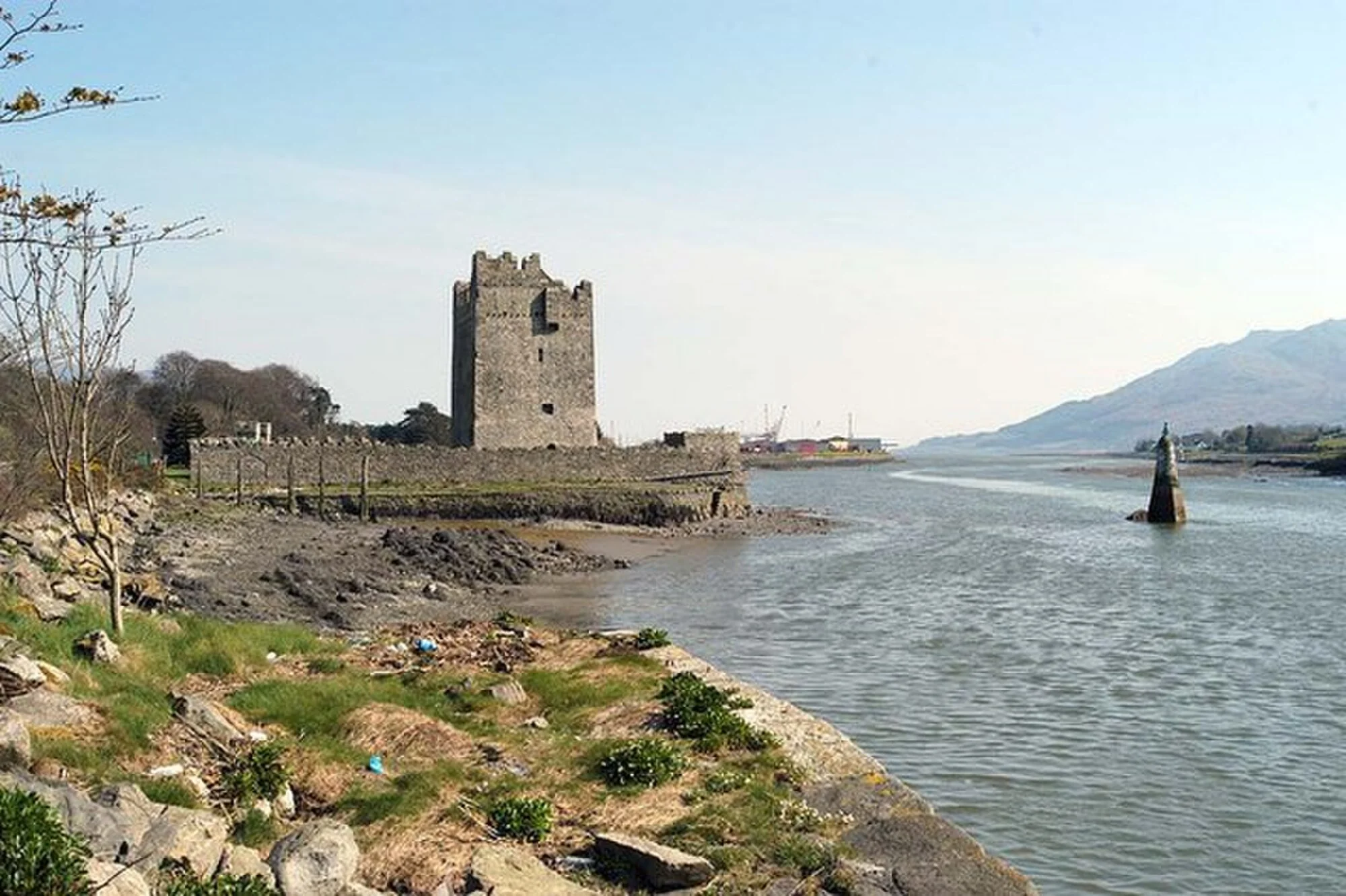 Vets in Warrenpoint