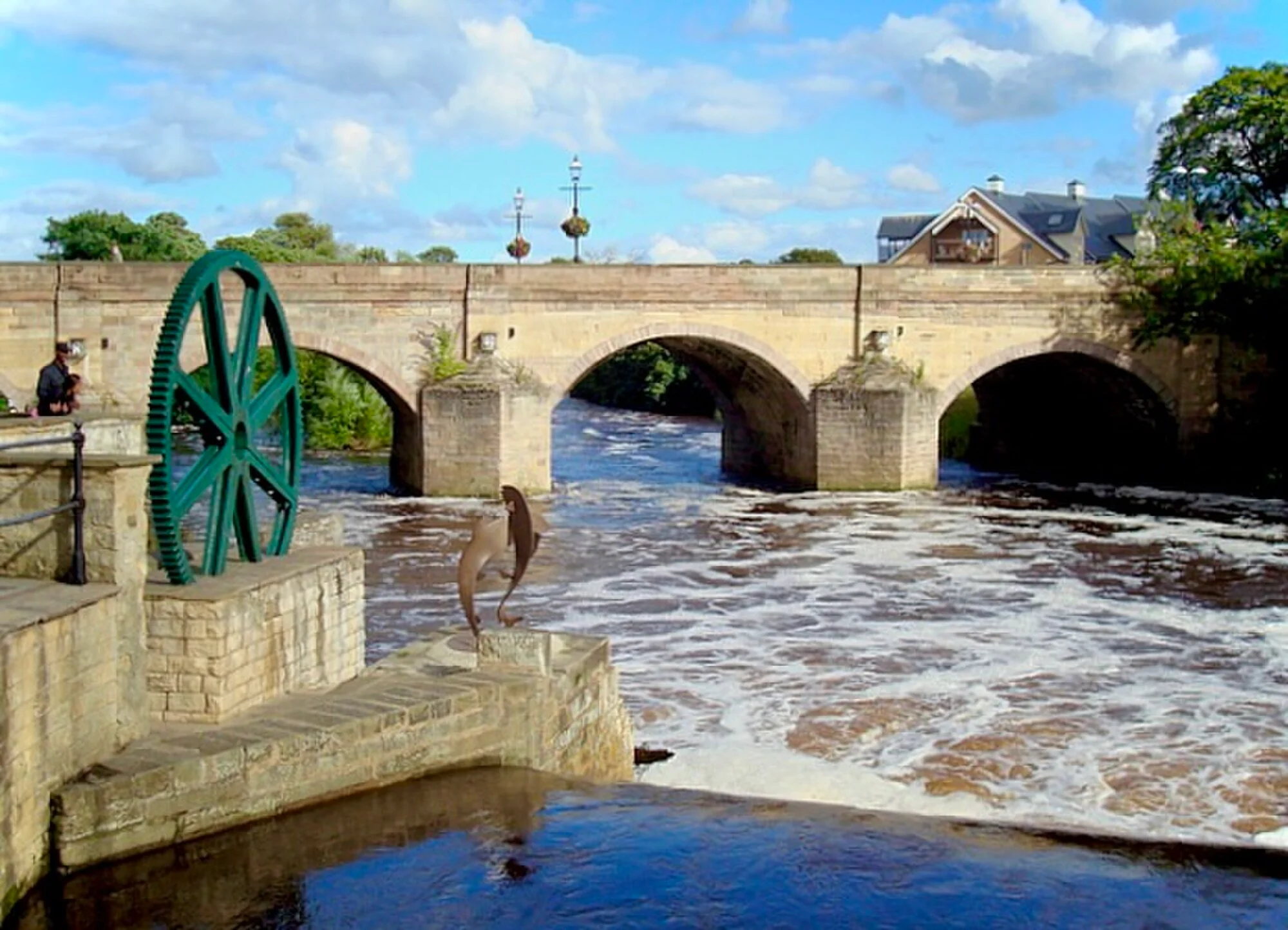 Vets in Wetherby