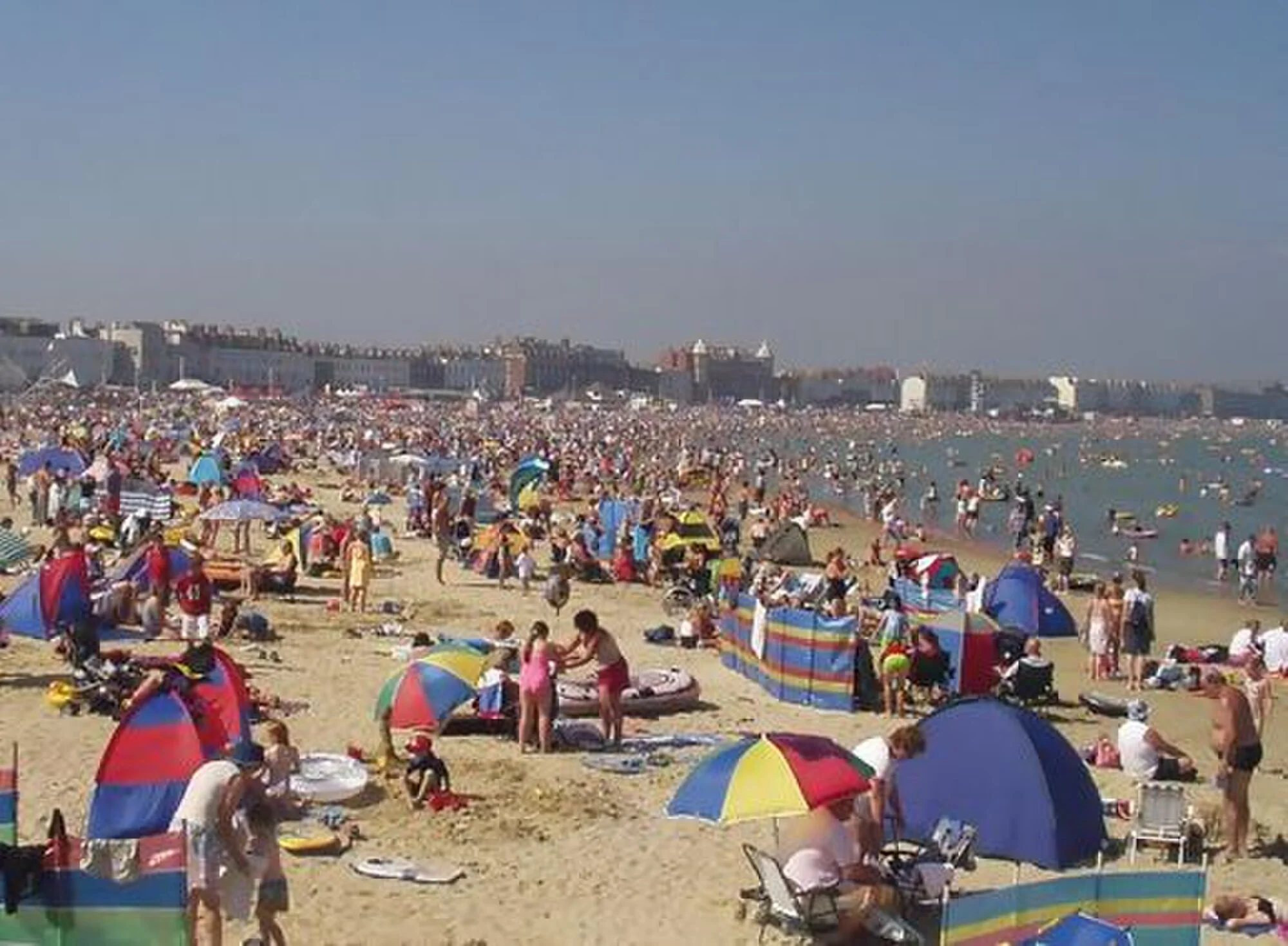 Vets in Weymouth