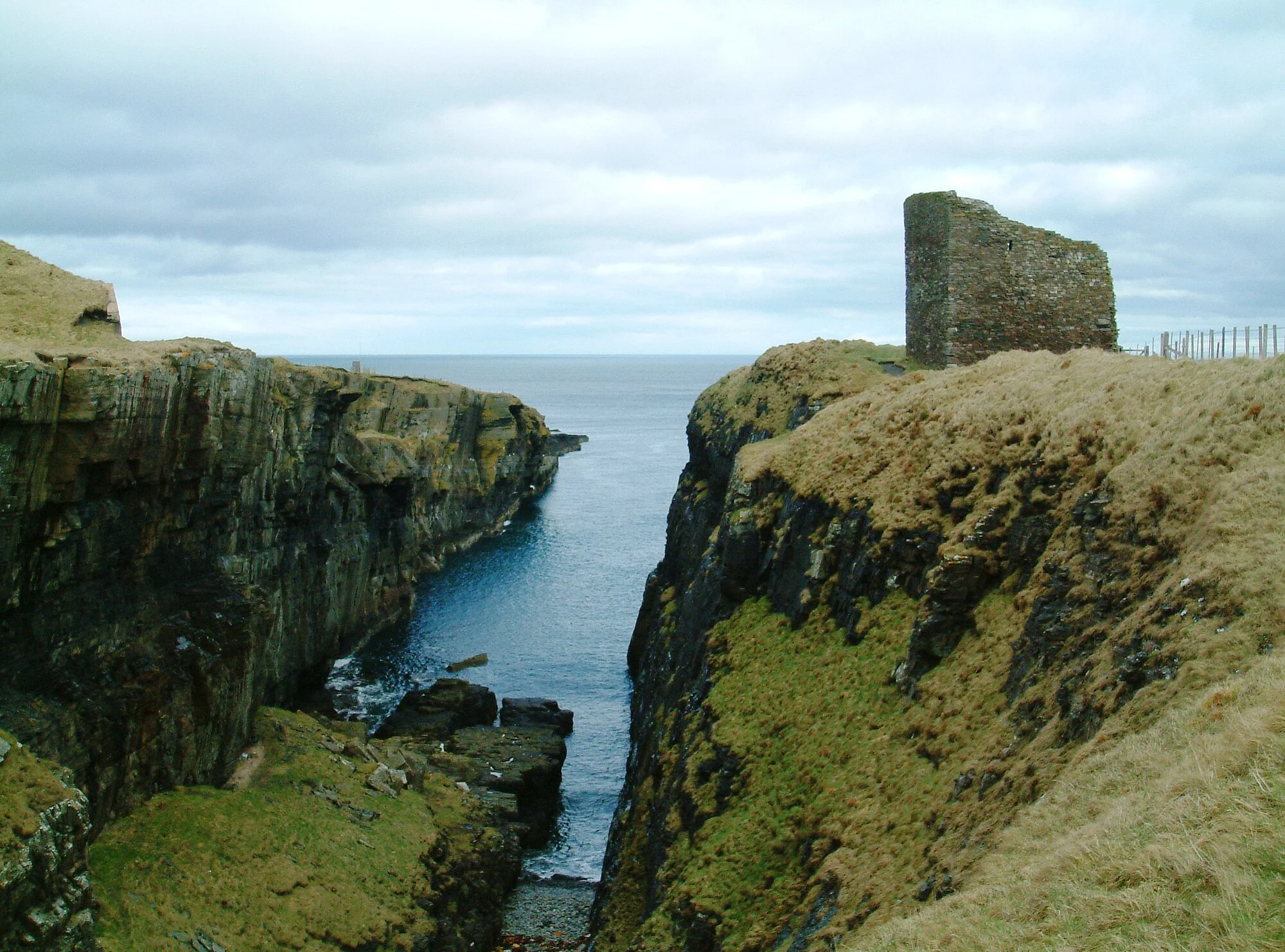 Vets in Wick