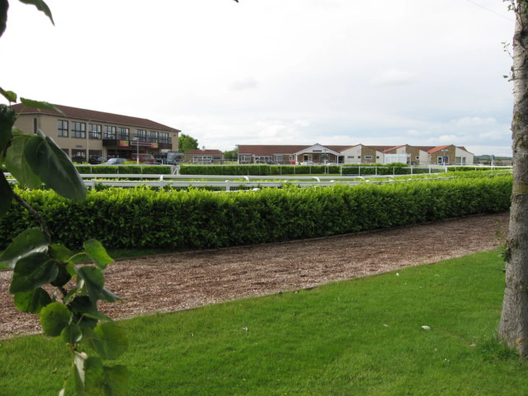 Vets in Wincanton