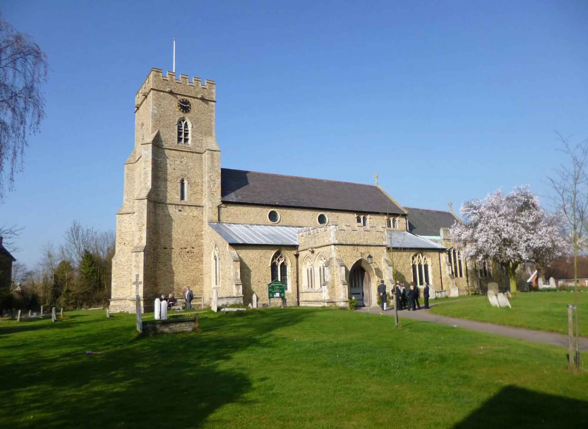 Vets in Witham