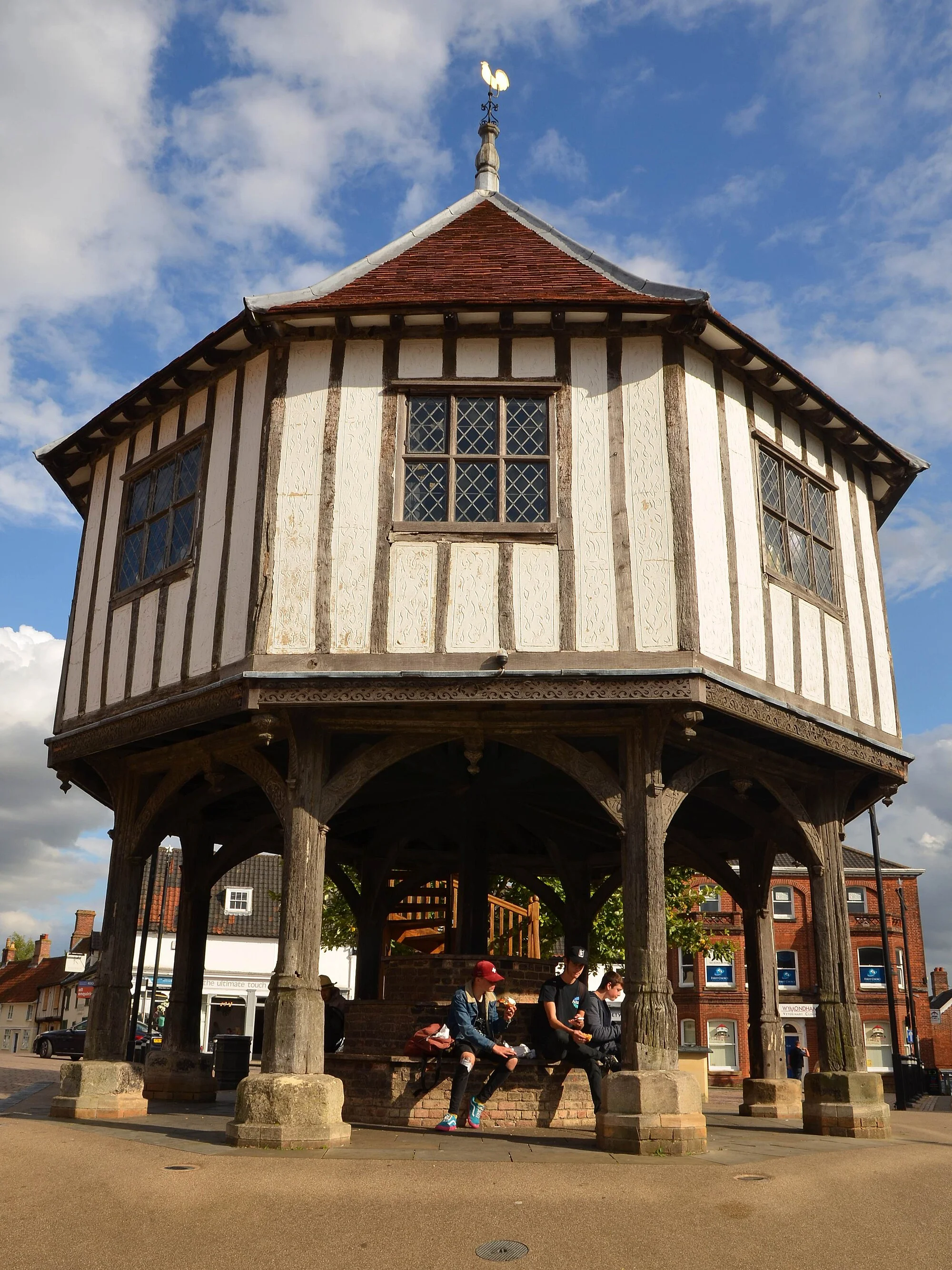 Vets in Wymondham